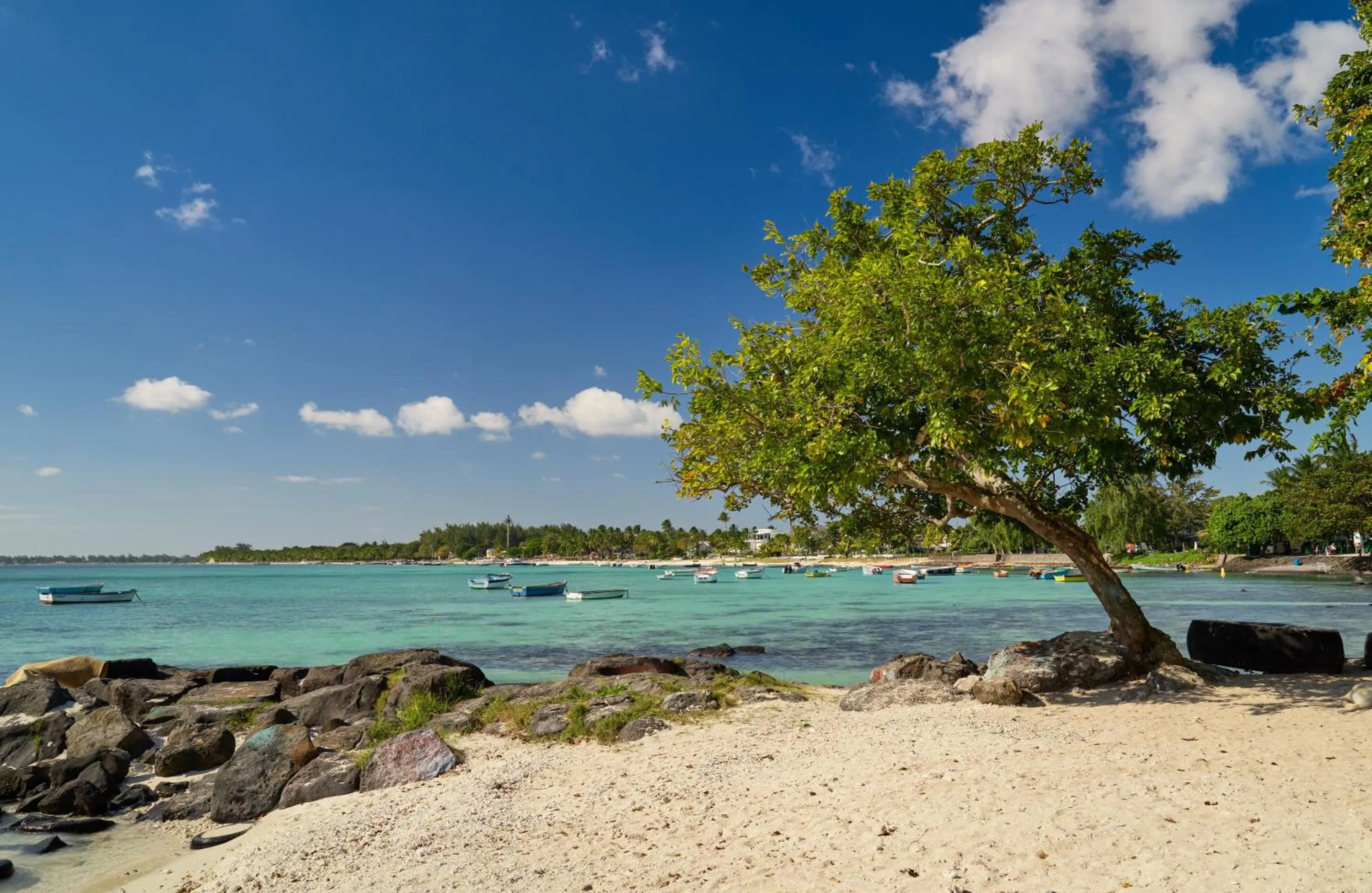 Beach in Les Estivales Beachfront Suites & Penthouses by LOV Mauritius