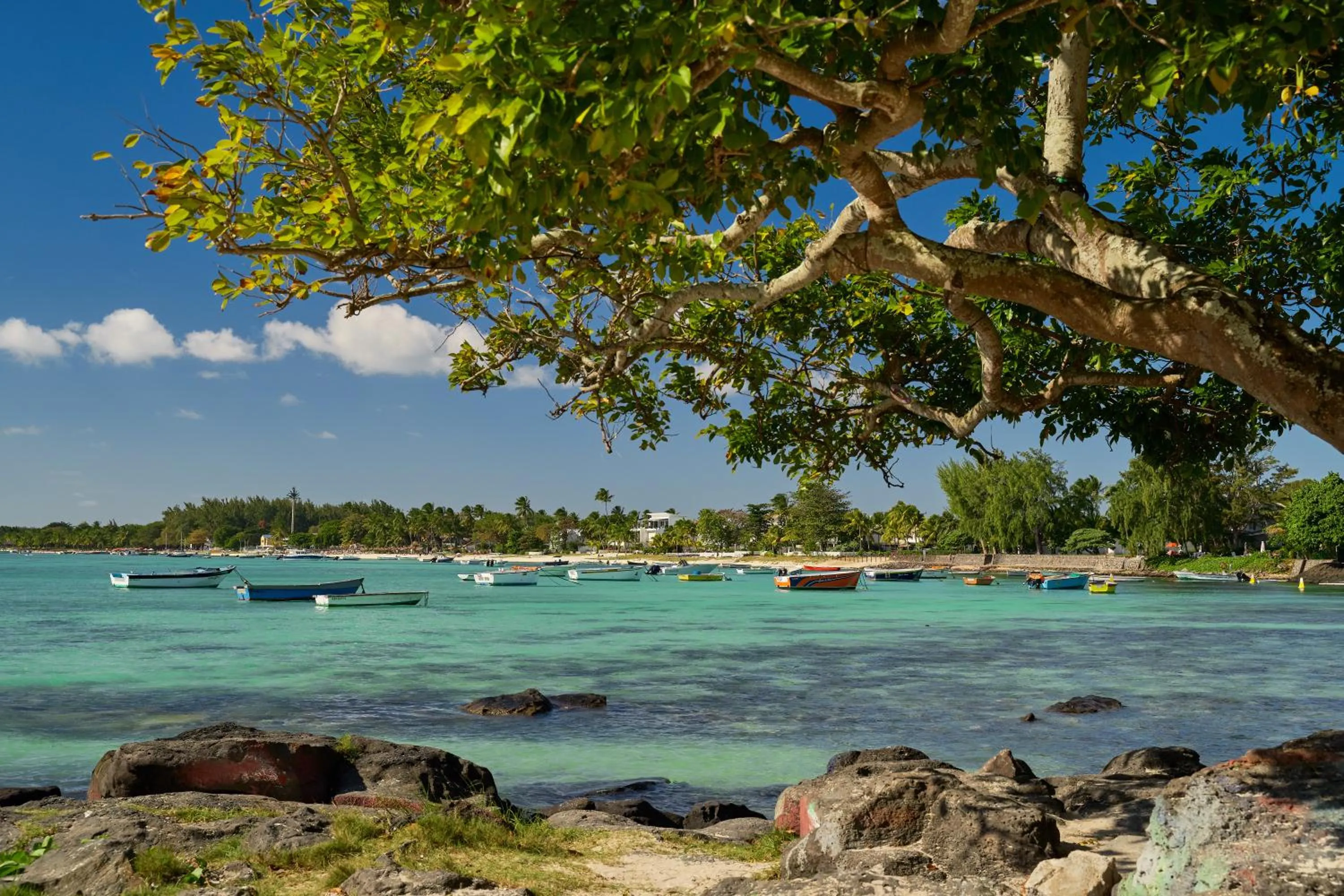 Natural landscape in Les Estivales Beachfront Suites & Penthouses by LOV Mauritius