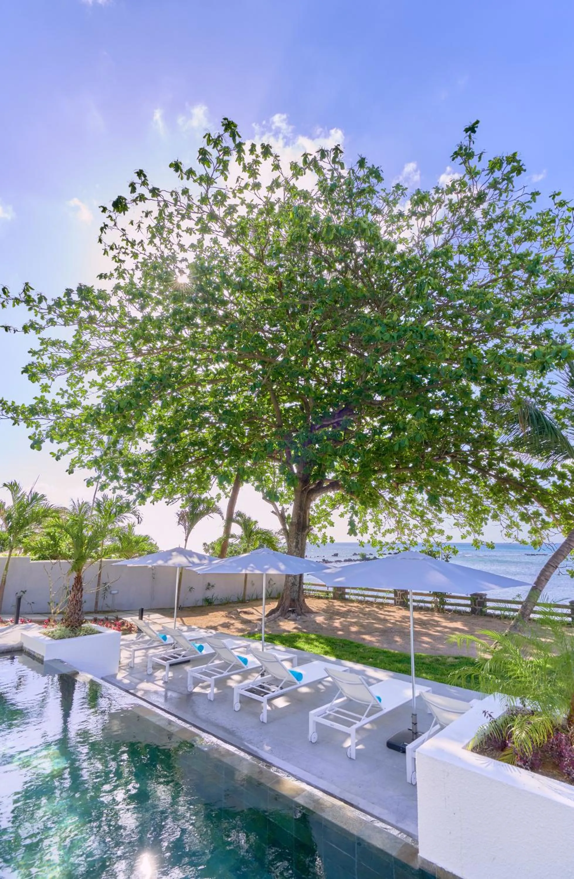 Garden in Les Estivales Beachfront Suites & Penthouses by LOV Mauritius