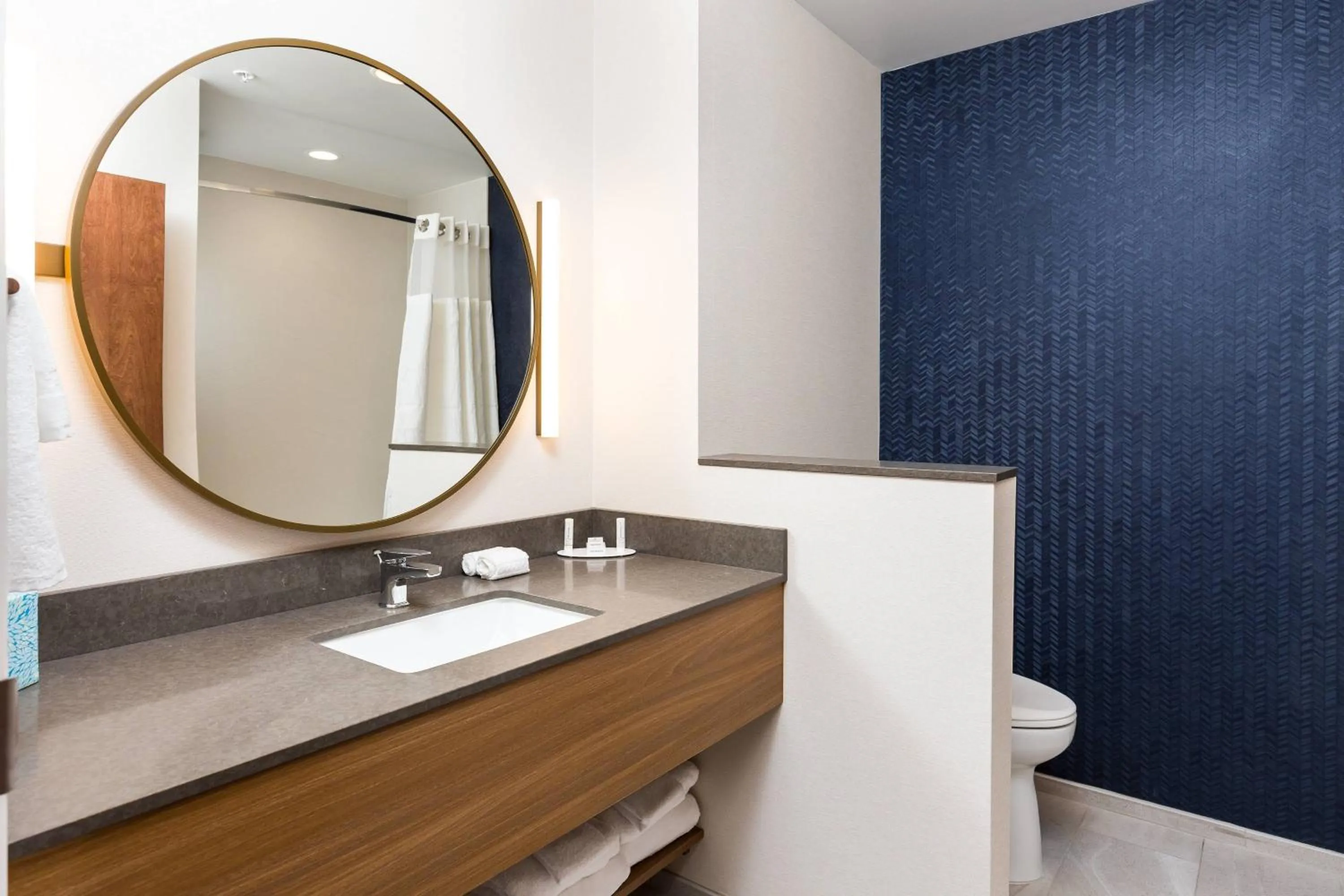 Bathroom in Fairfield Inn & Suites by Marriott Crestview