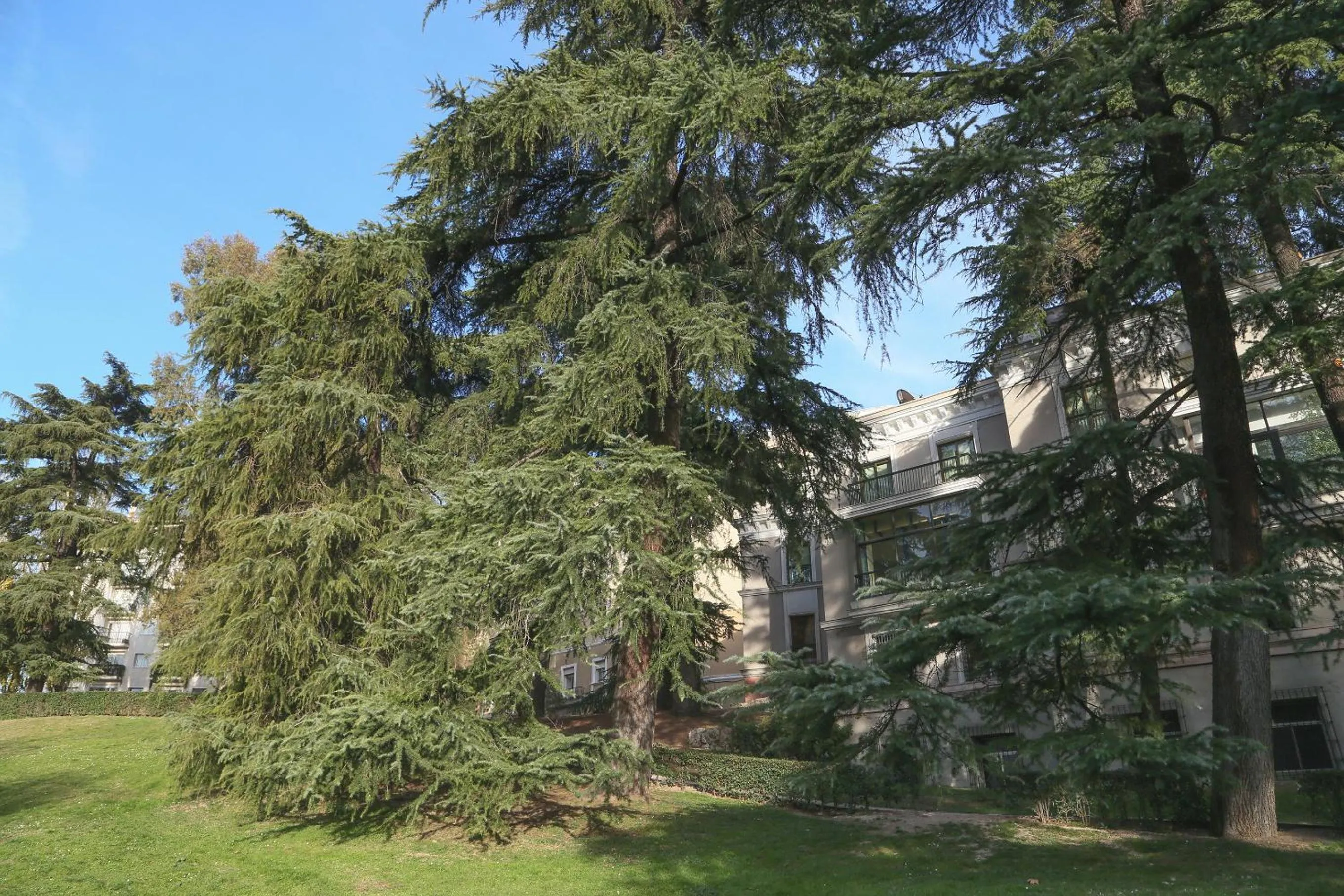 Garden view in Hostels Meetingpoint