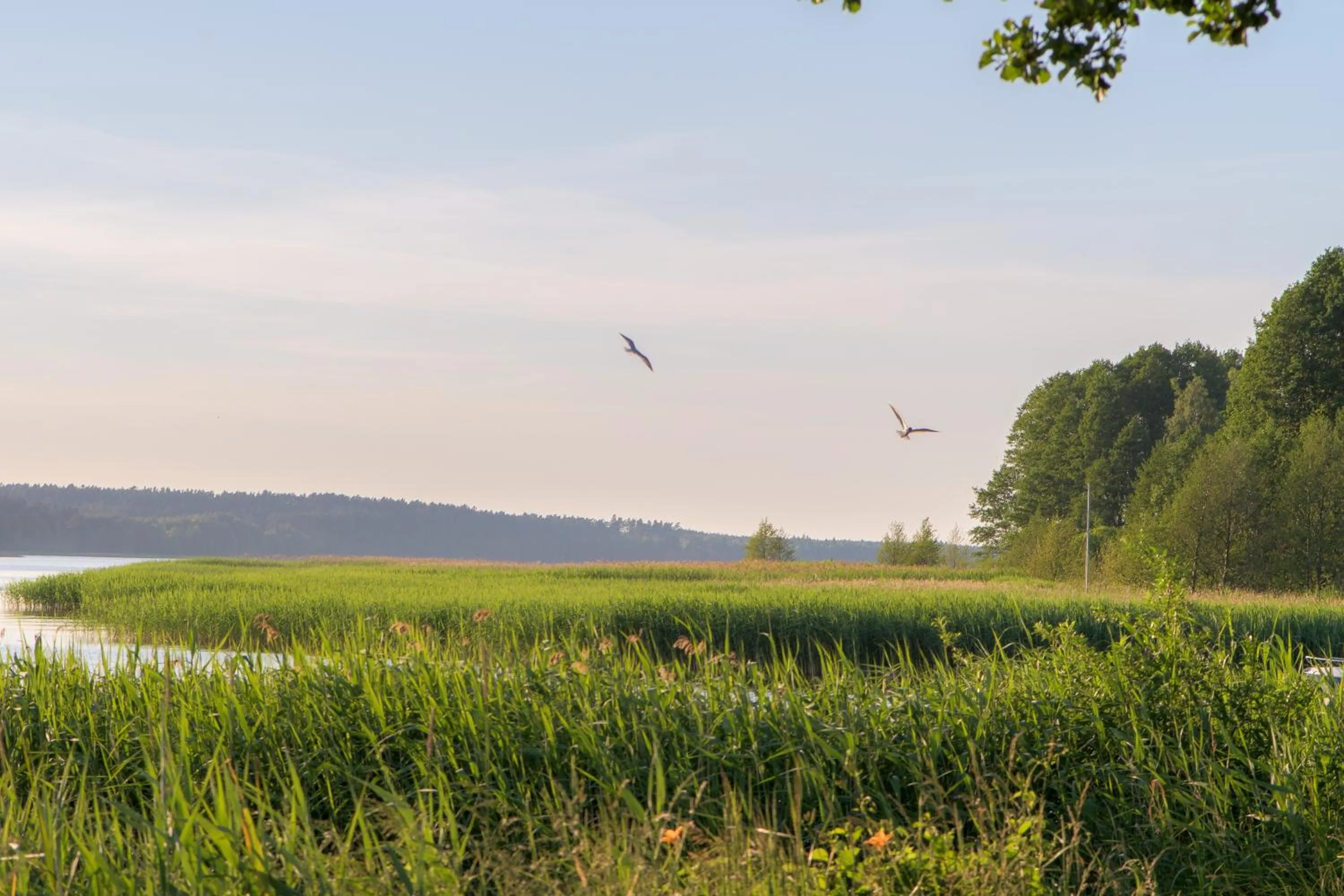 Off site in Notera Hotel SPA