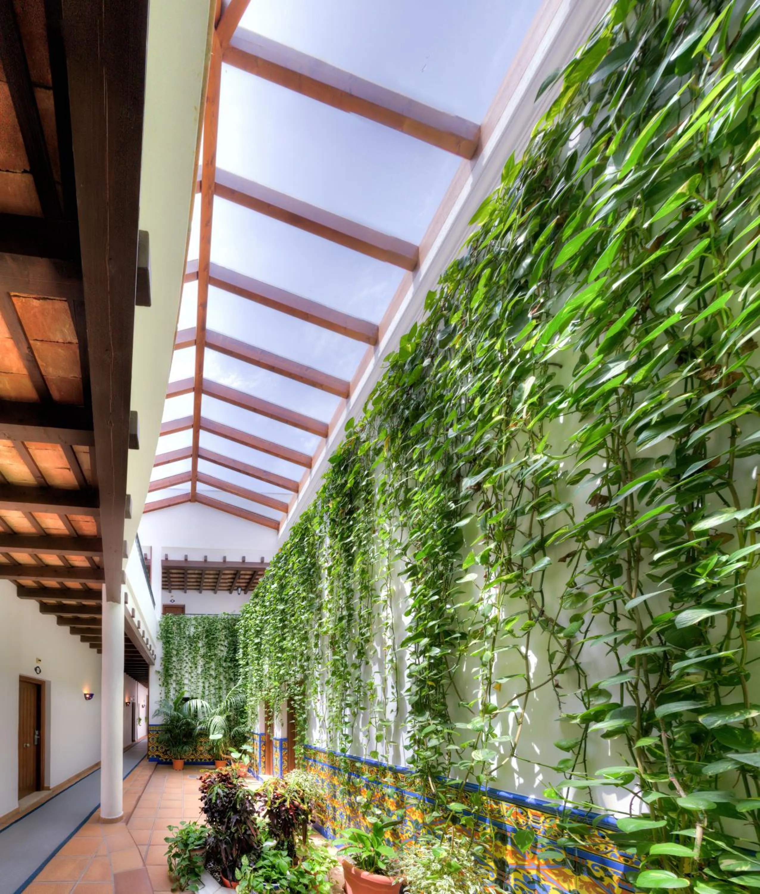 Area and facilities in Hotel Porfirio