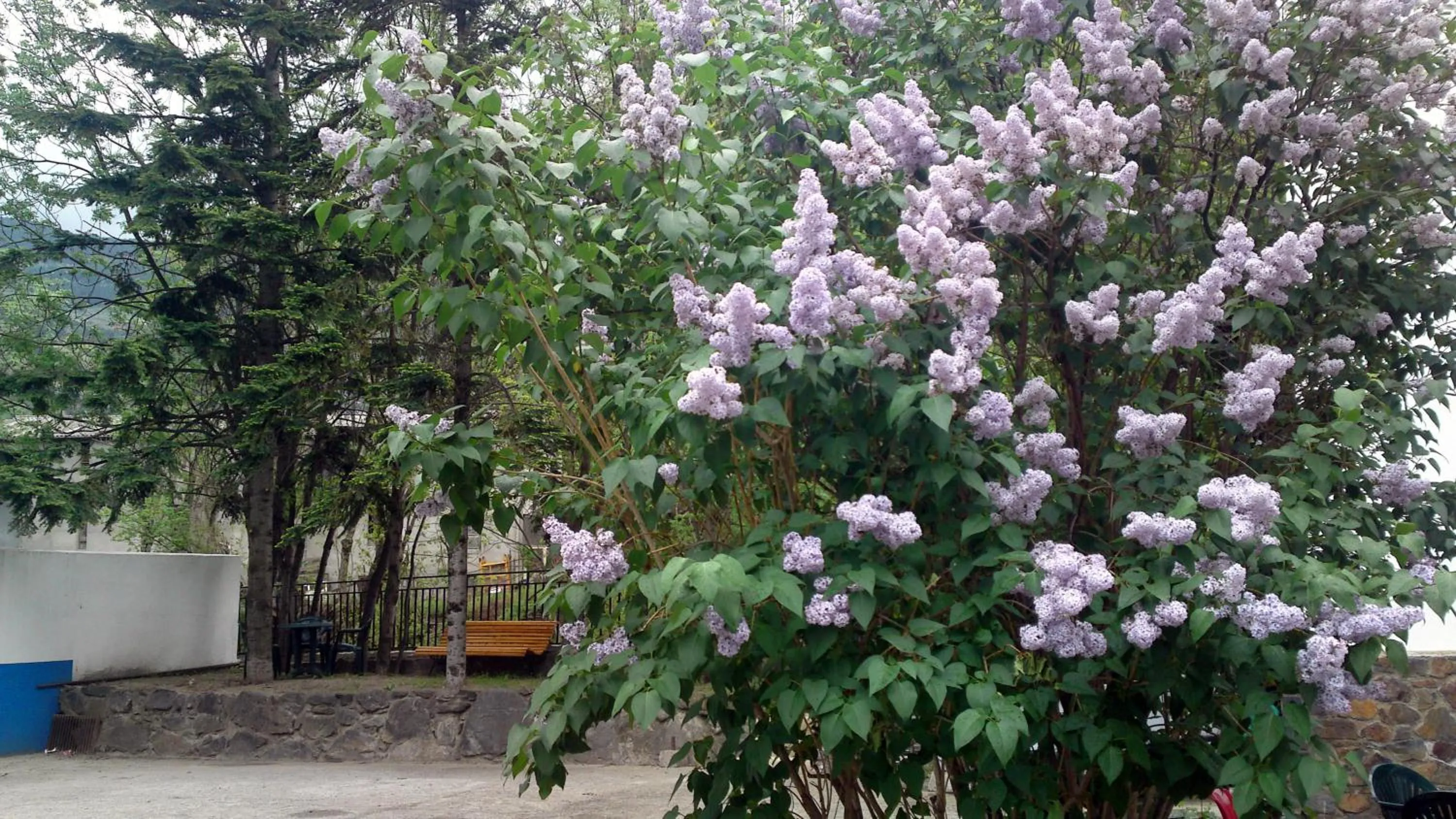 Other in Hotel Peralba