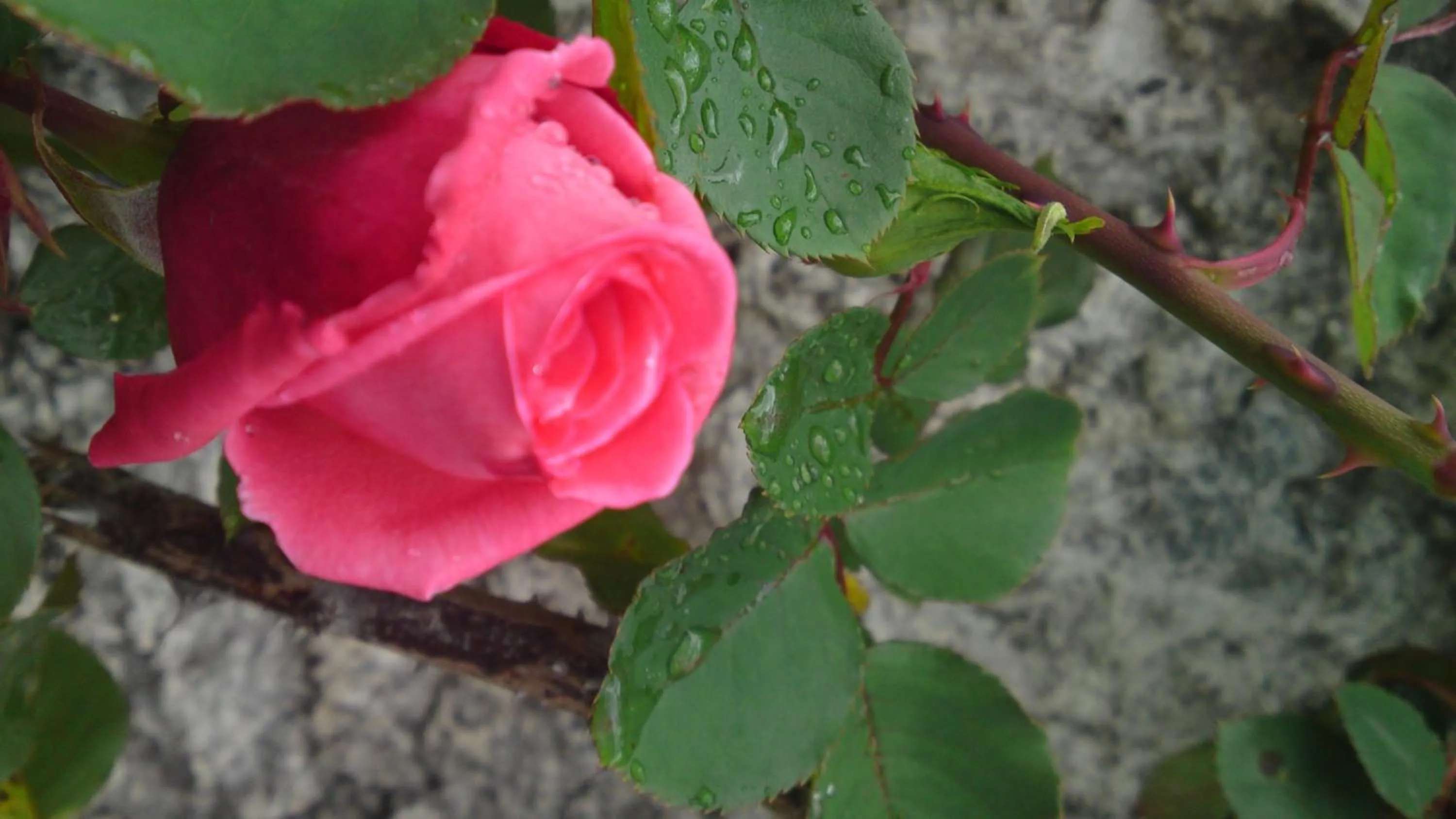 Other in Hotel Peralba