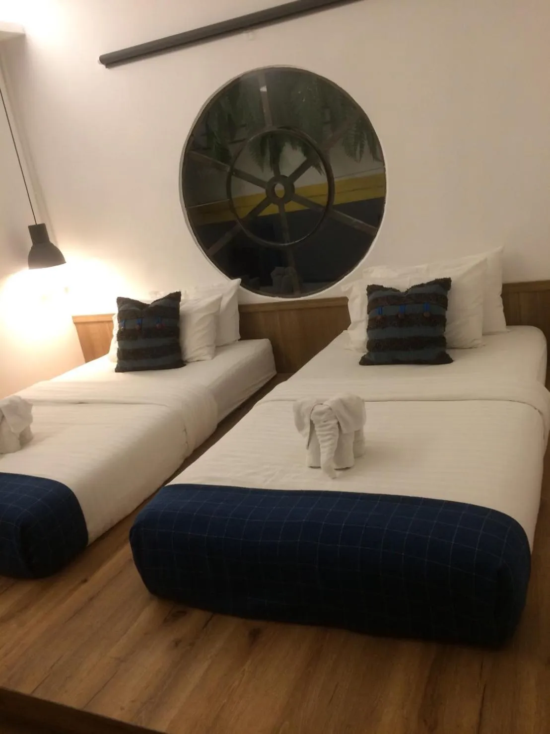 Bed in Spinomad hostel