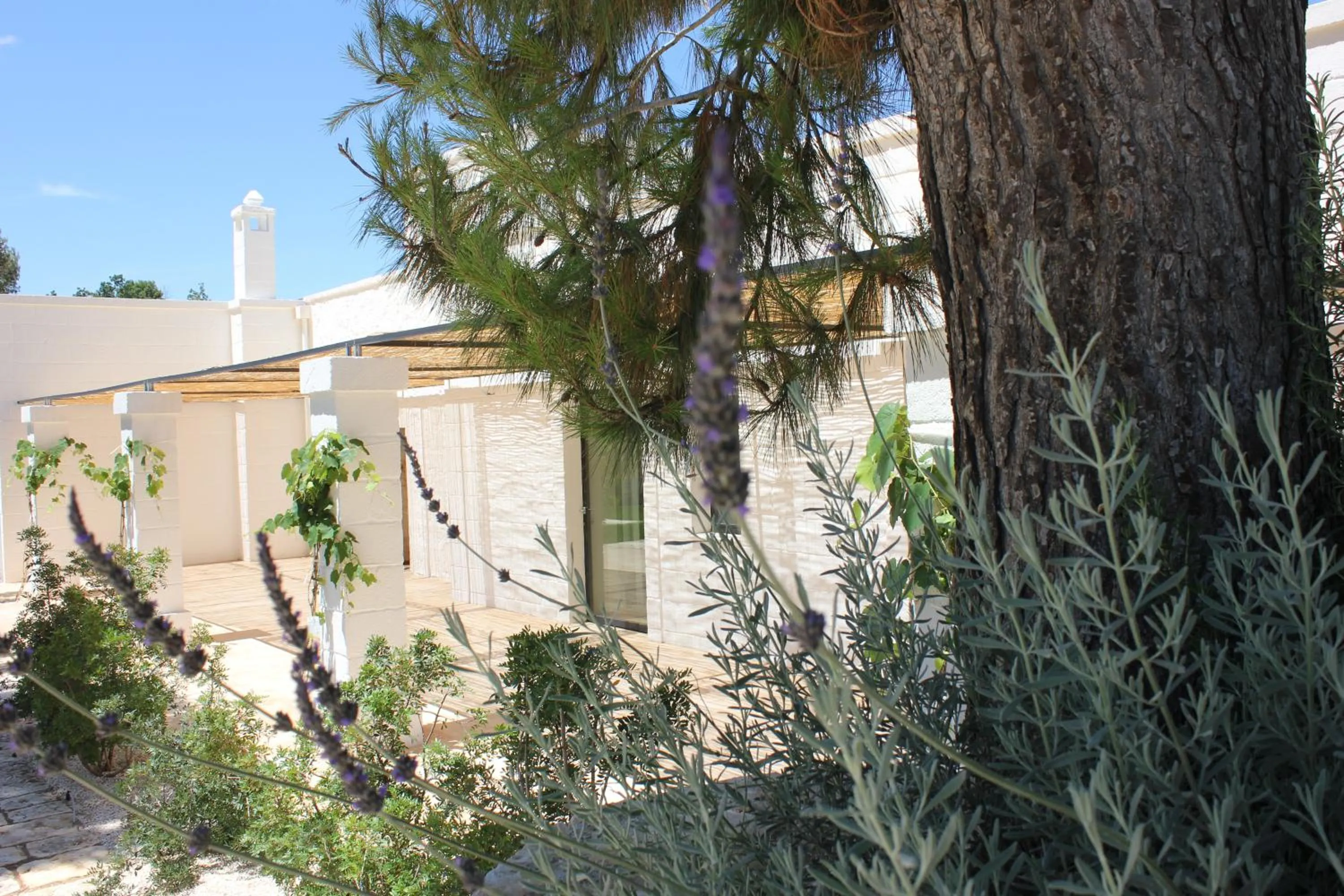 Spring in Casale Ramunno