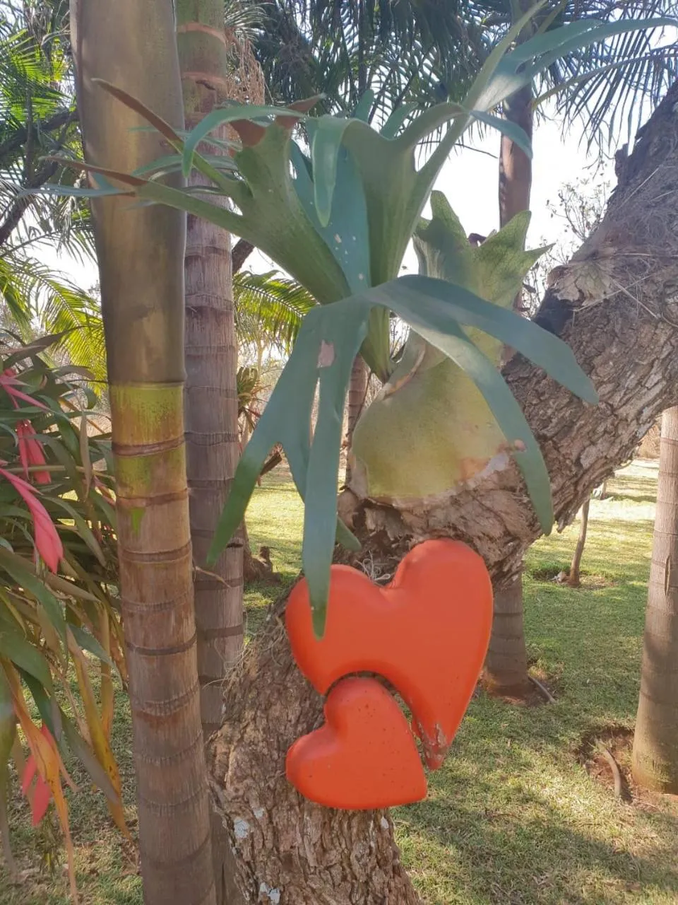 Suikerbosrant Sleep and go