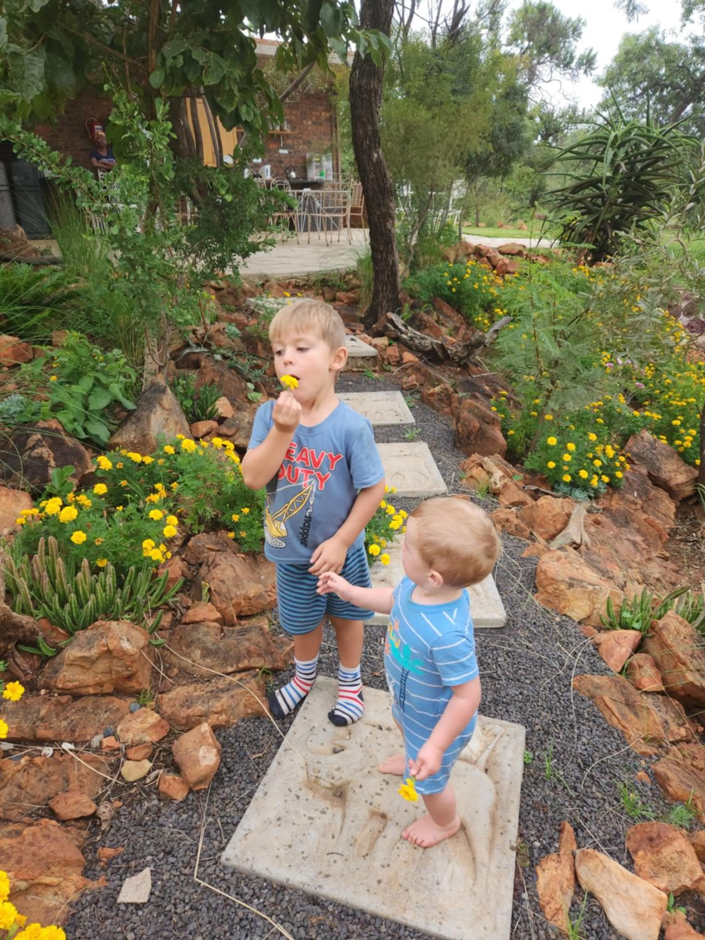 Suikerbosrant Sleep and go