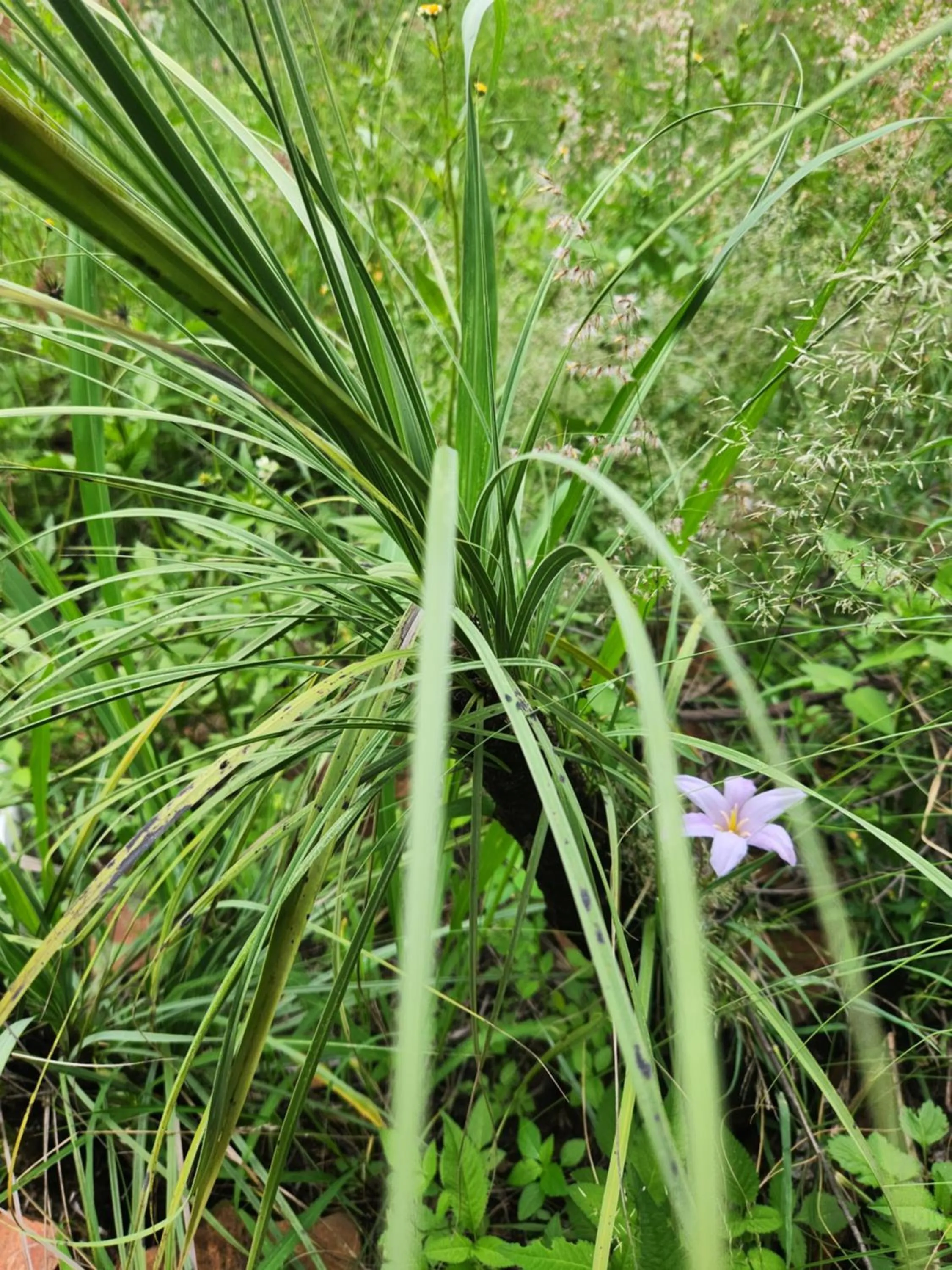 Suikerbosrant Sleep and go