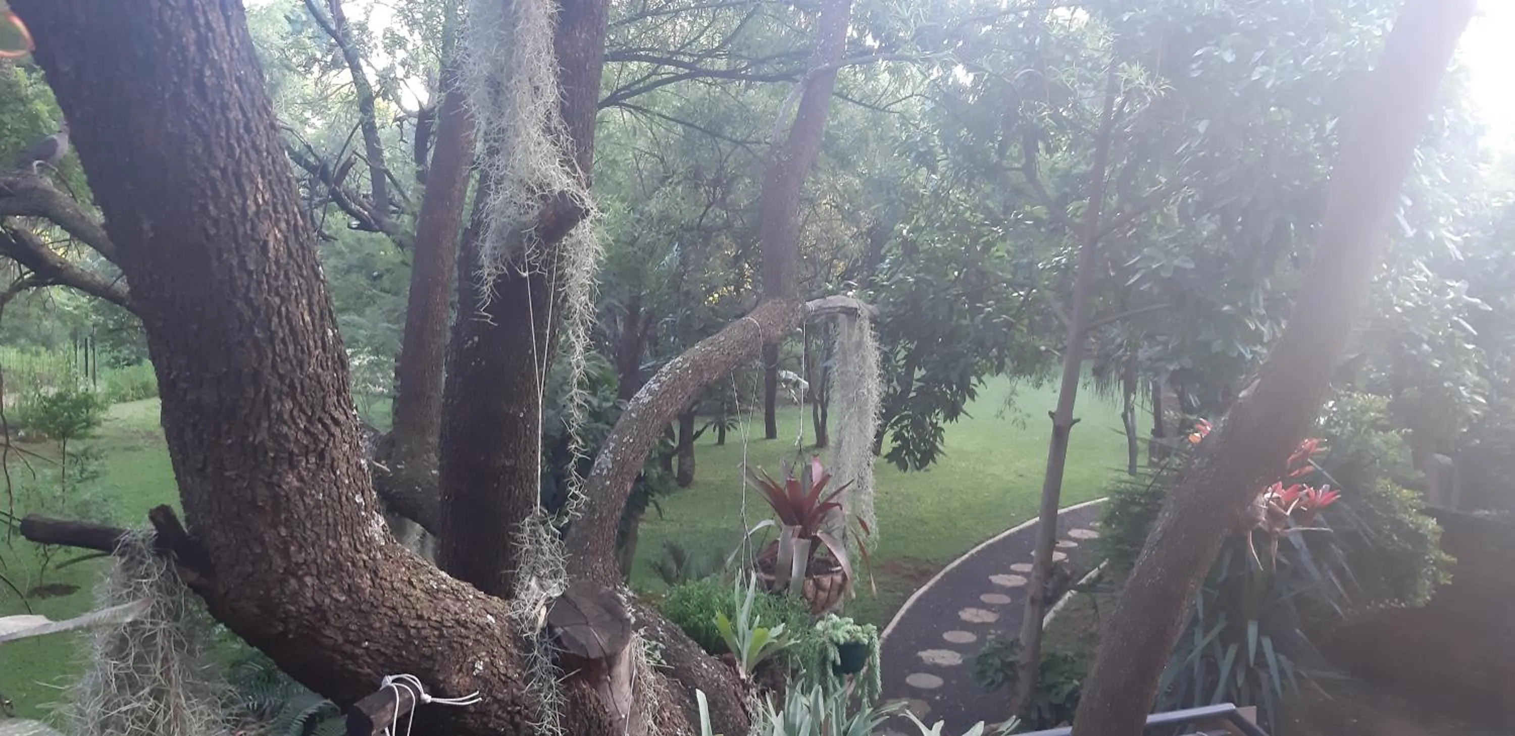 Suikerbosrant Sleep and go