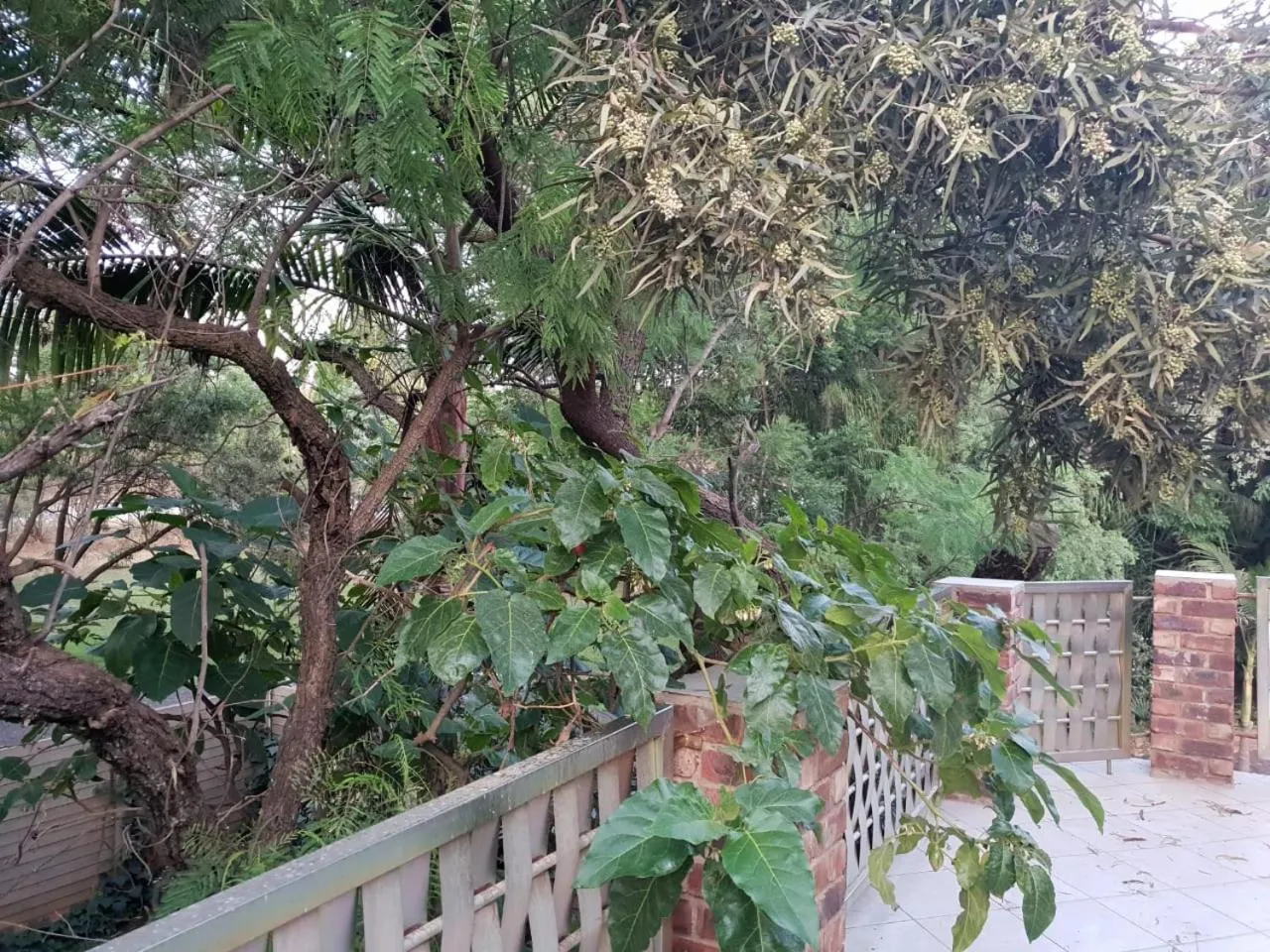 Suikerbosrant Sleep and go