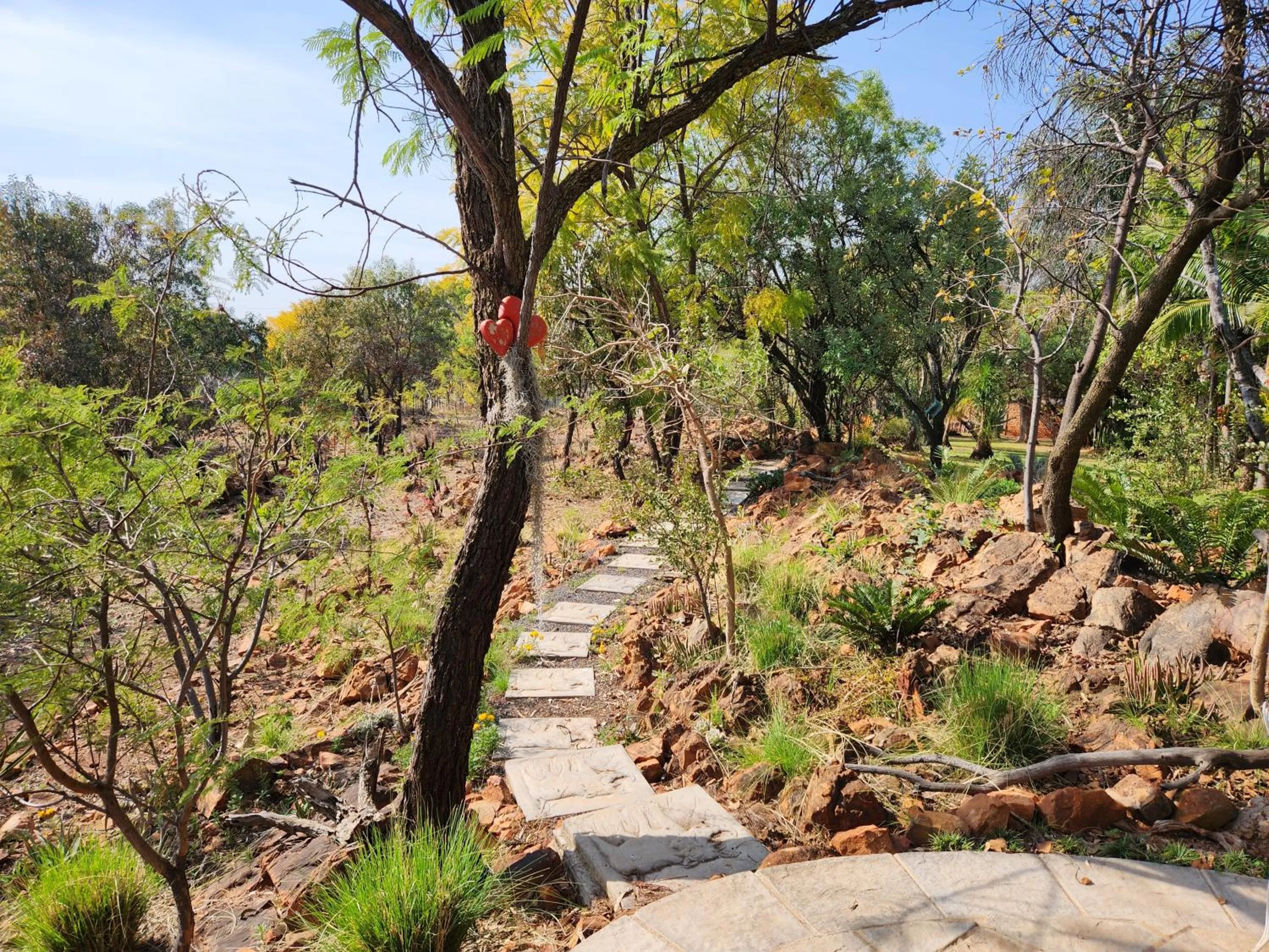 Suikerbosrant Sleep and go