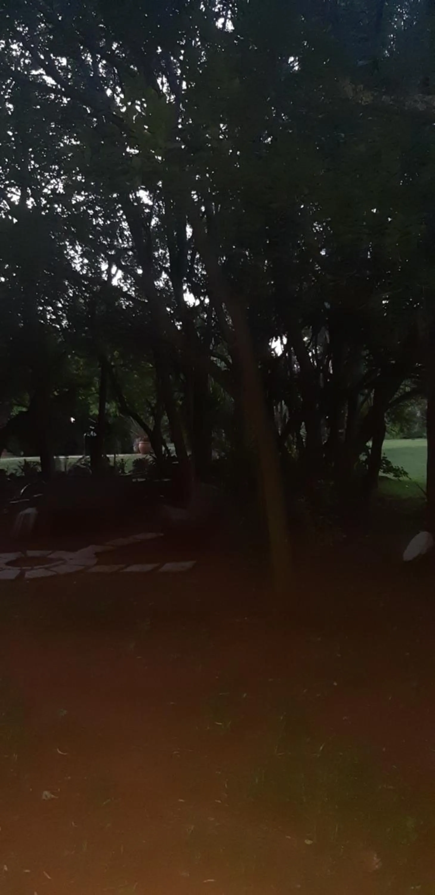 Suikerbosrant Sleep and go