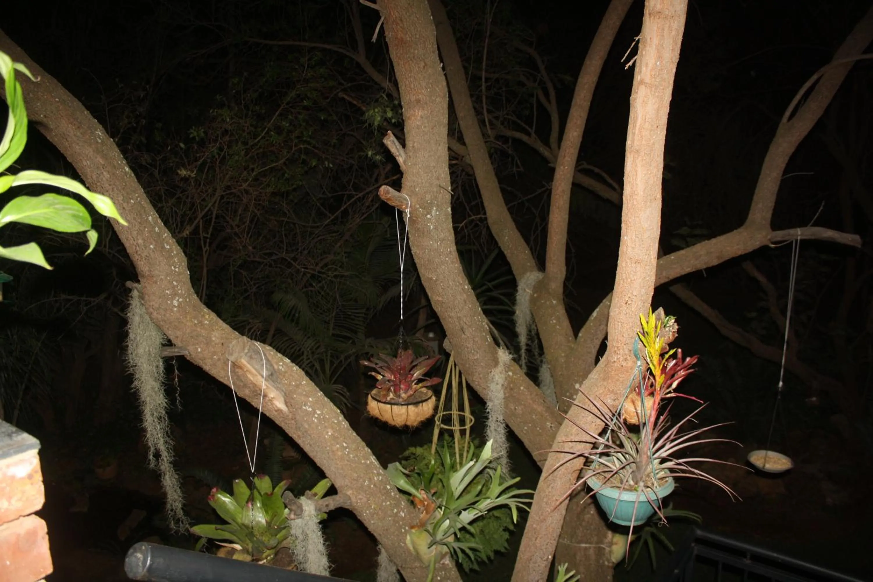 Suikerbosrant Sleep and go