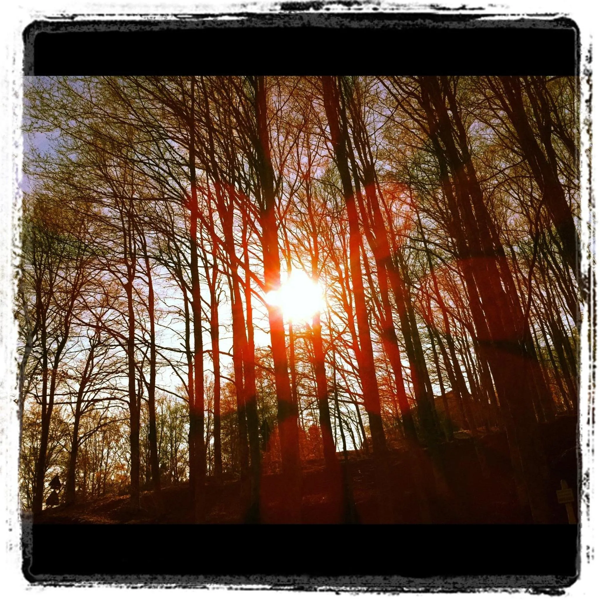 Spring in Da Ronald ... A Pian Del Papa