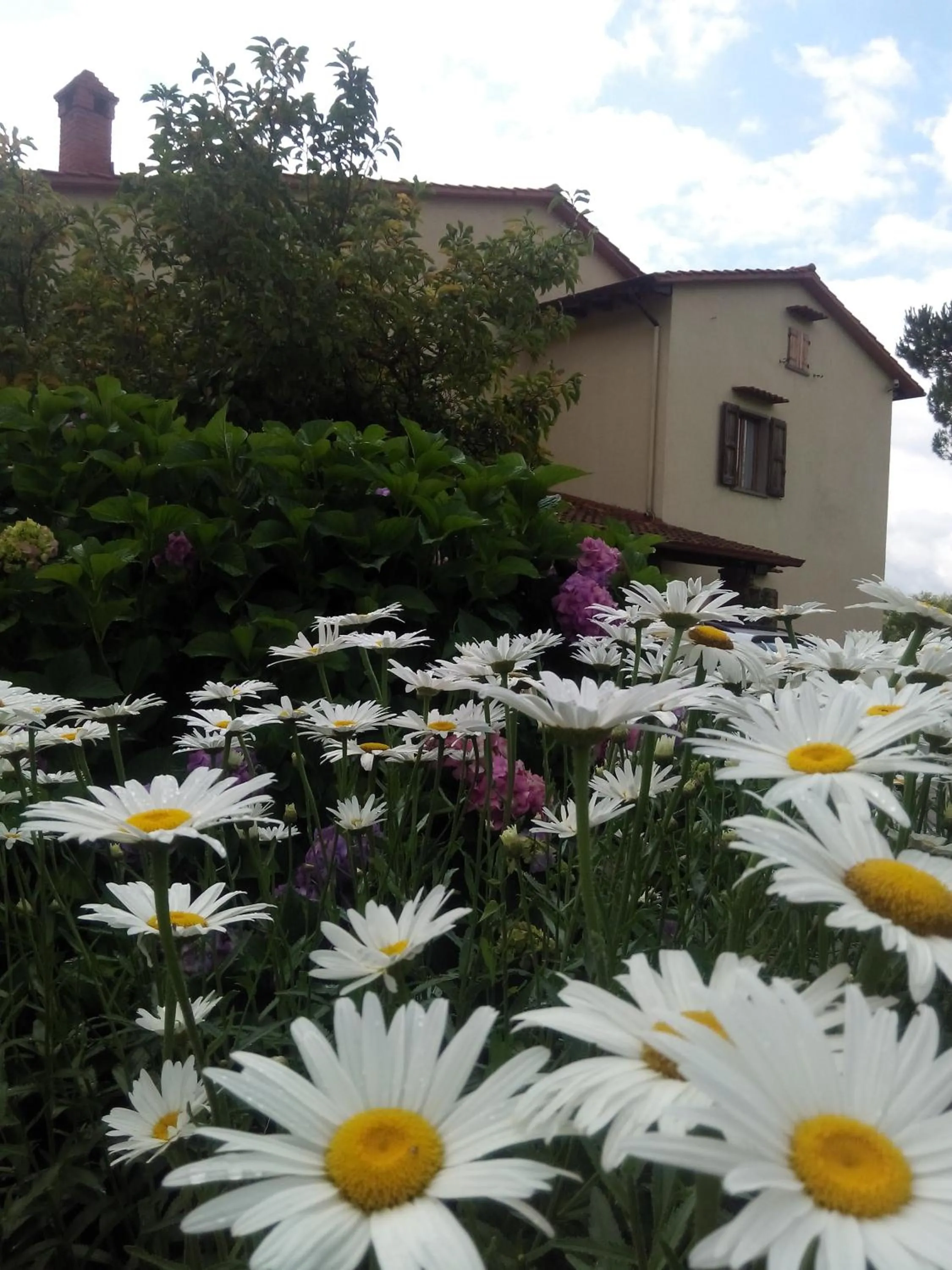 Facade/entrance in Da Ronald ... A Pian Del Papa