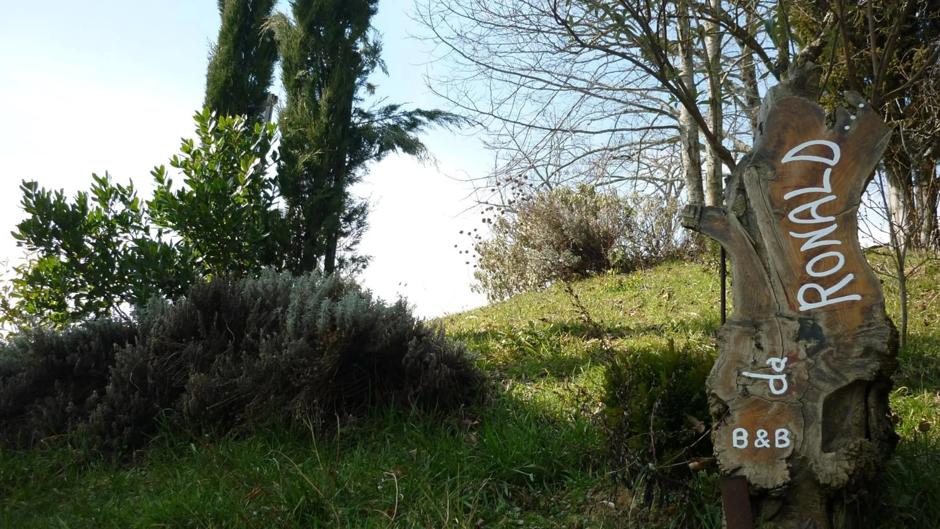 Property logo or sign in Da Ronald ... A Pian Del Papa