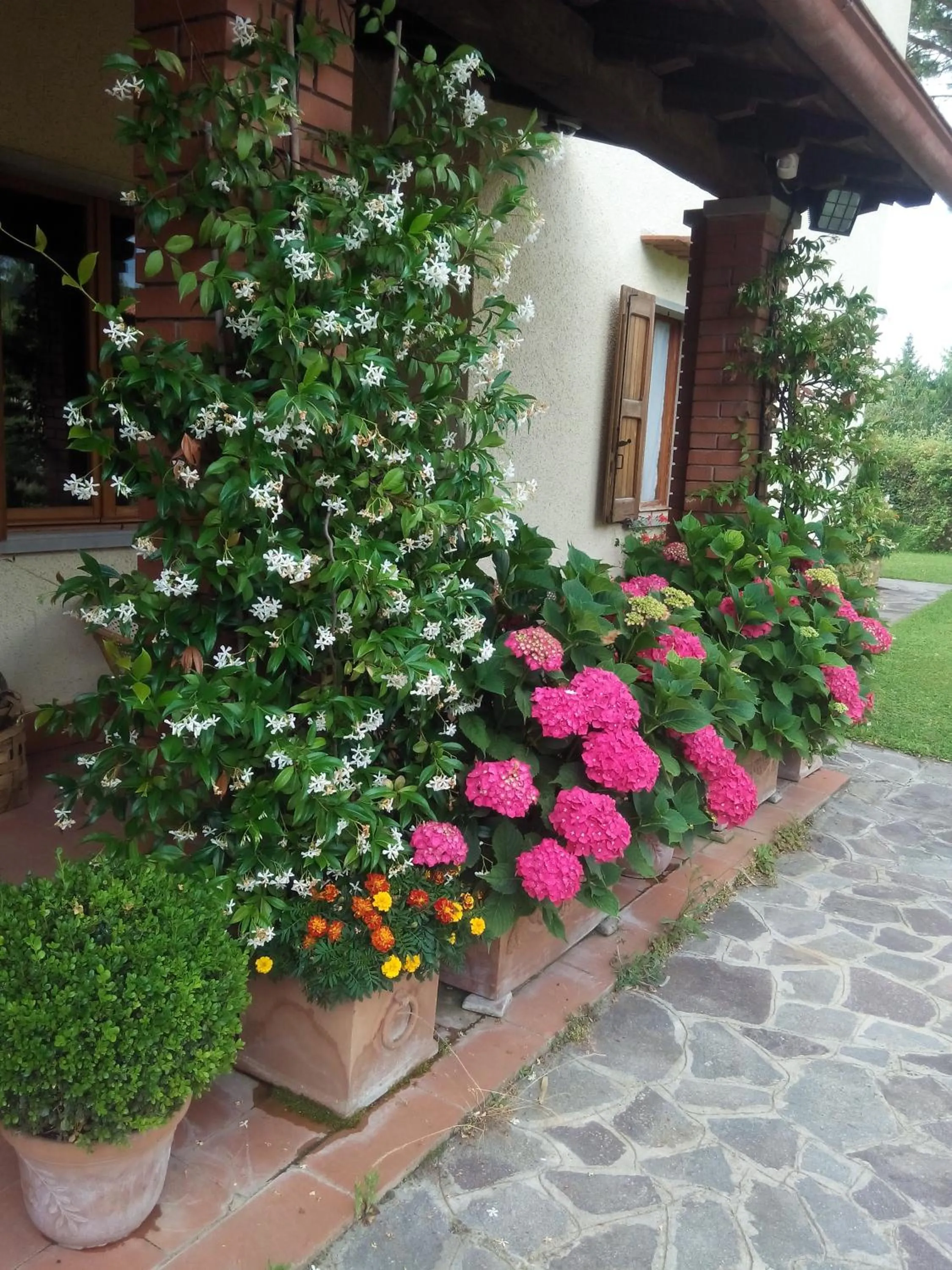 Facade/entrance in Da Ronald ... A Pian Del Papa