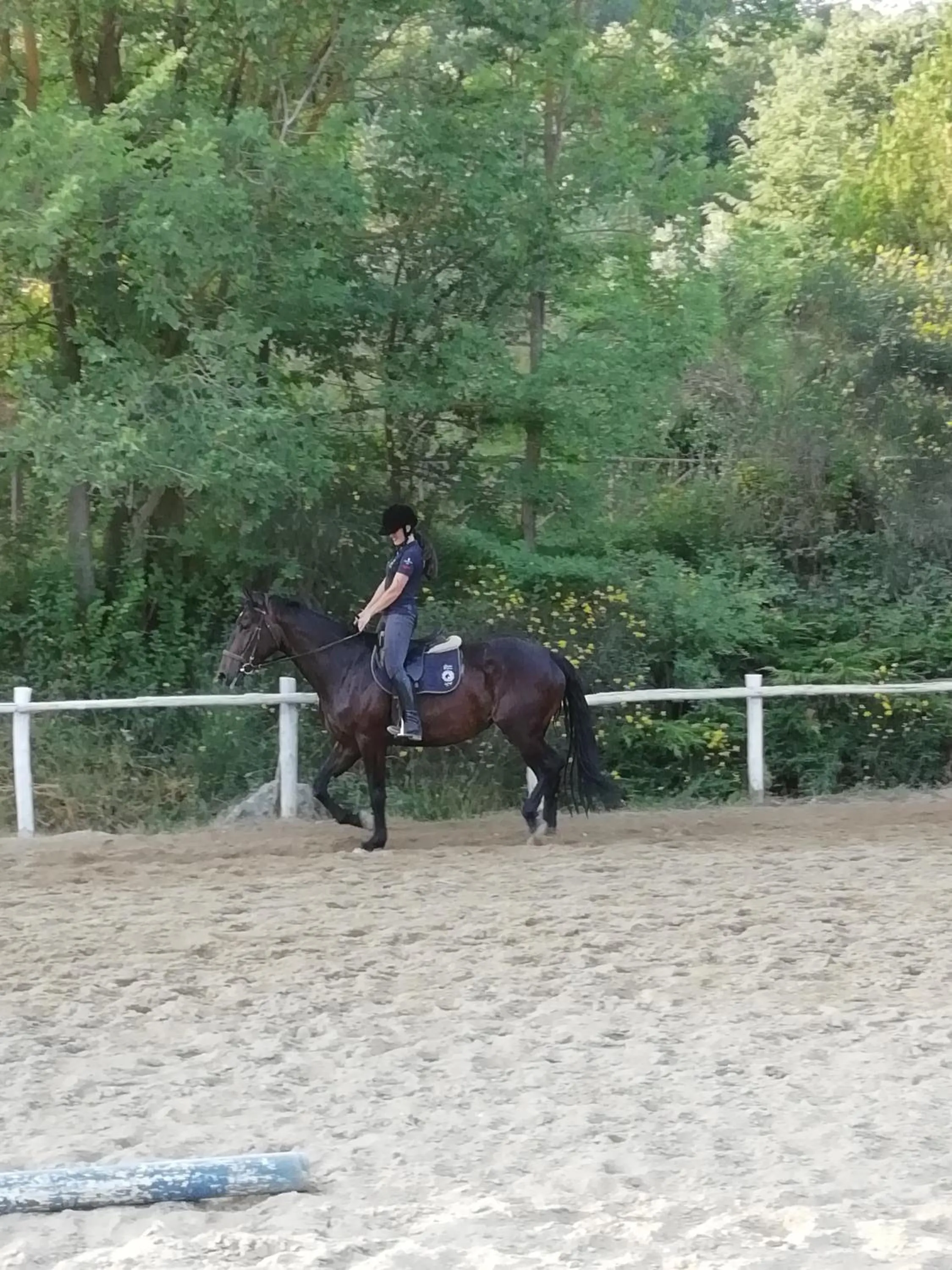 Horse-riding in Casale Sant'Elia