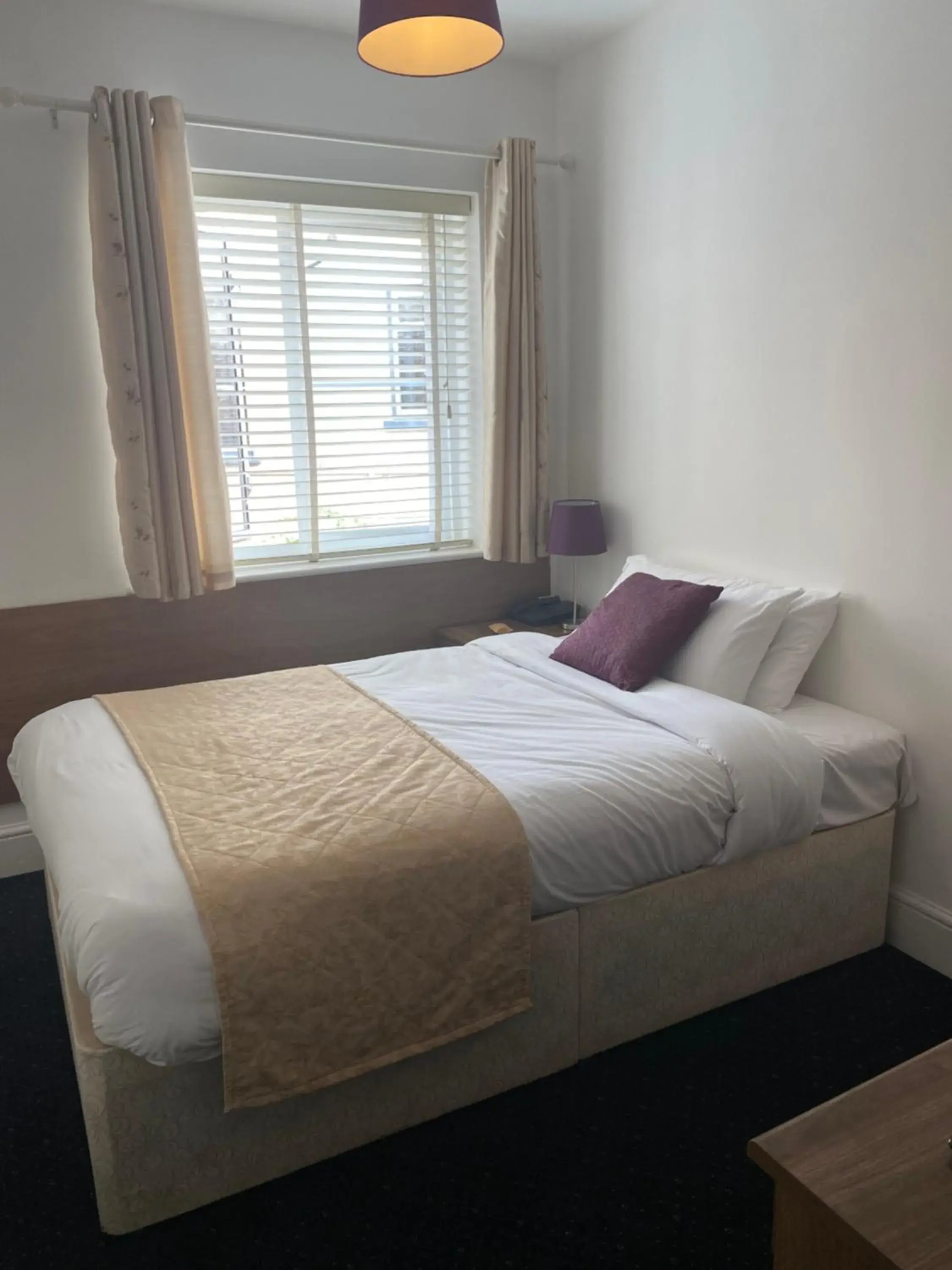 Single Room with Shower - single occupancy in The Tudor Hotel Single Room with Shower - single occupancy in The Tudor Hotel