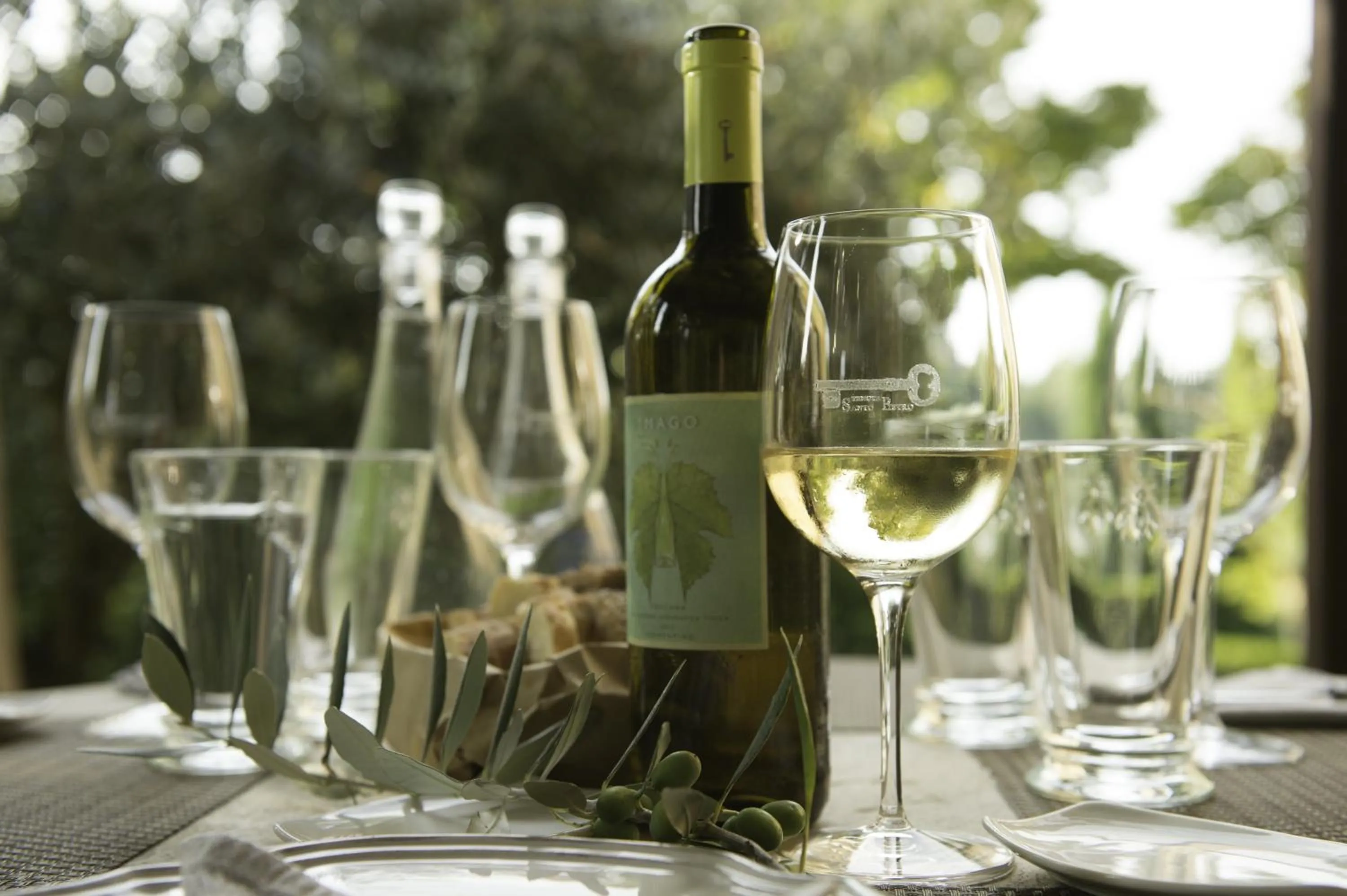 Restaurant/places to eat in Tenuta Santo Pietro