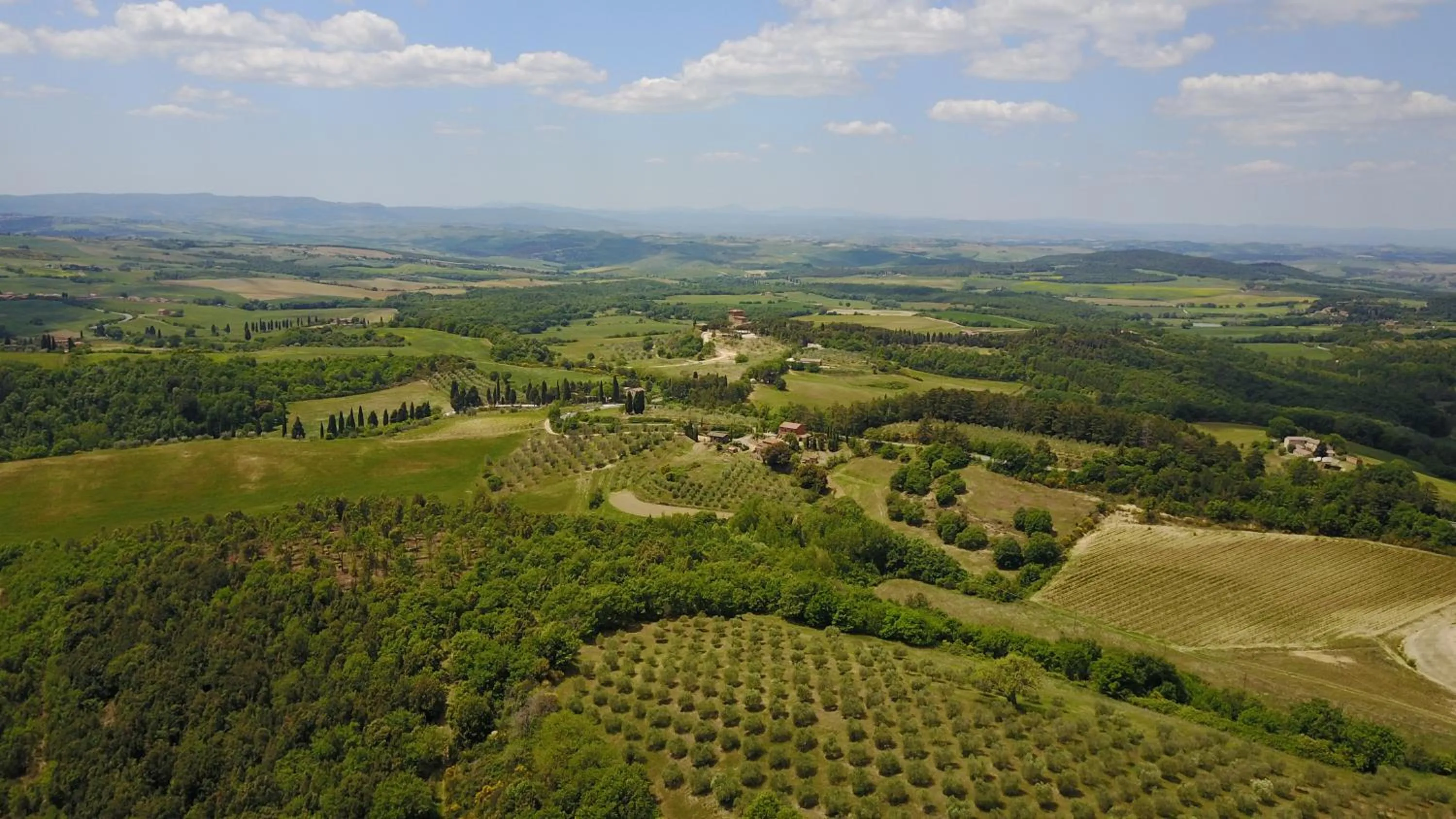 Spring in Tenuta Santo Pietro
