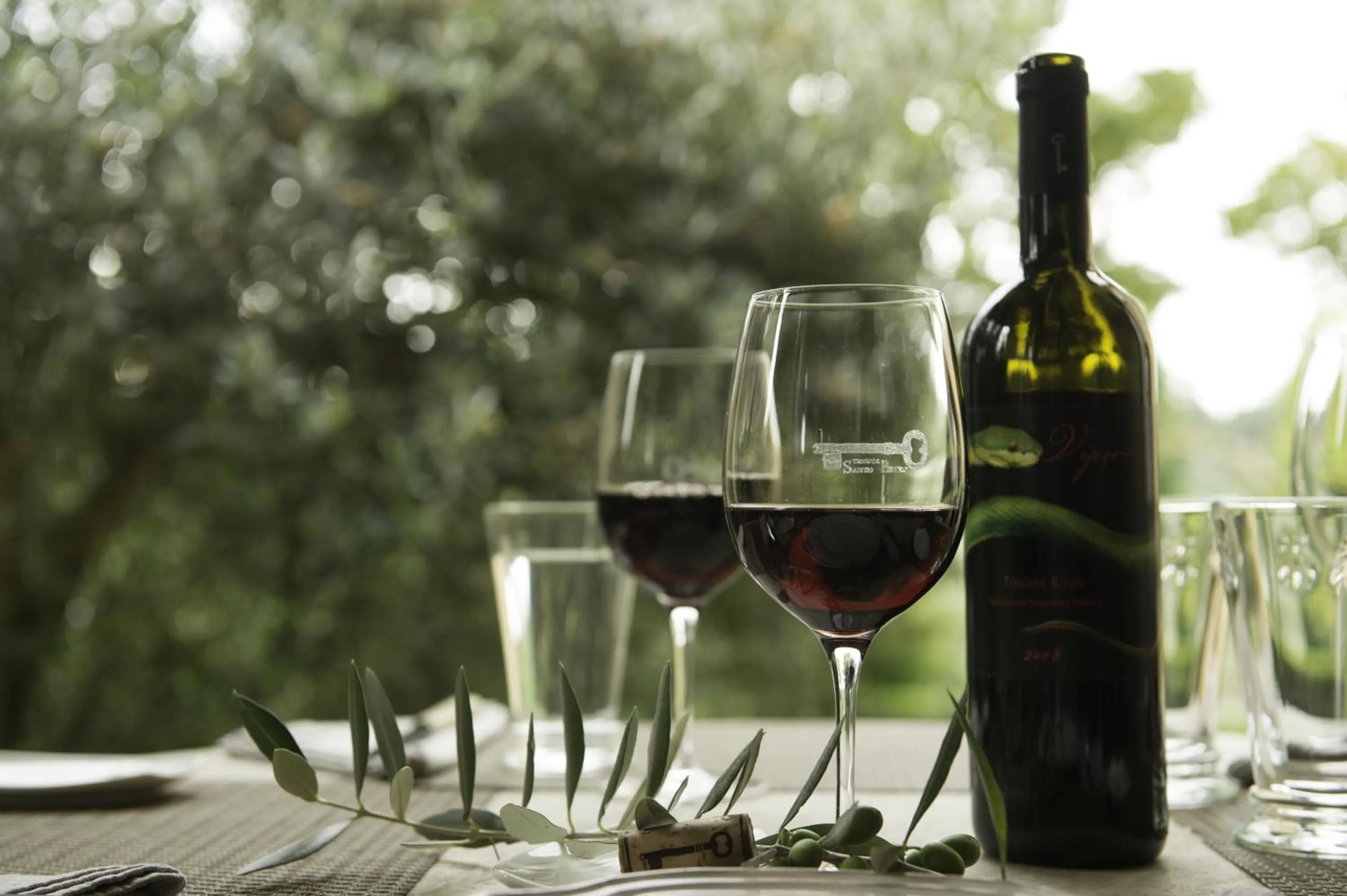 Restaurant/places to eat in Tenuta Santo Pietro