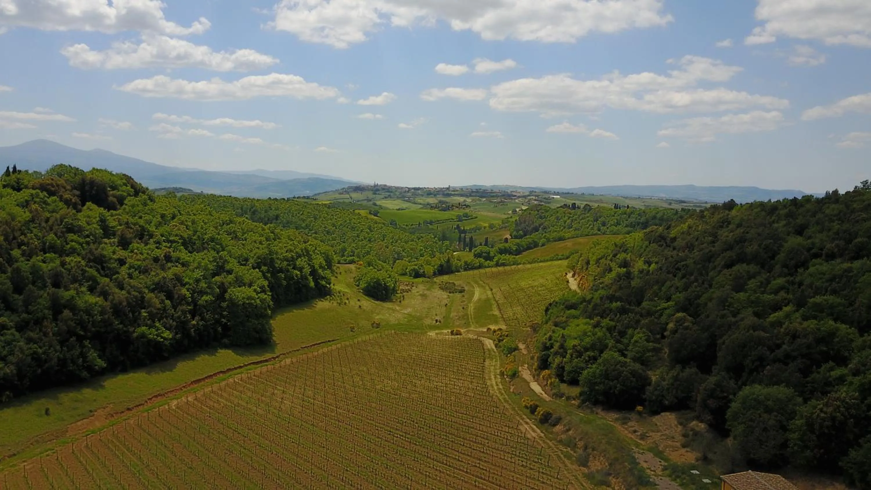 Garden in Tenuta Santo Pietro