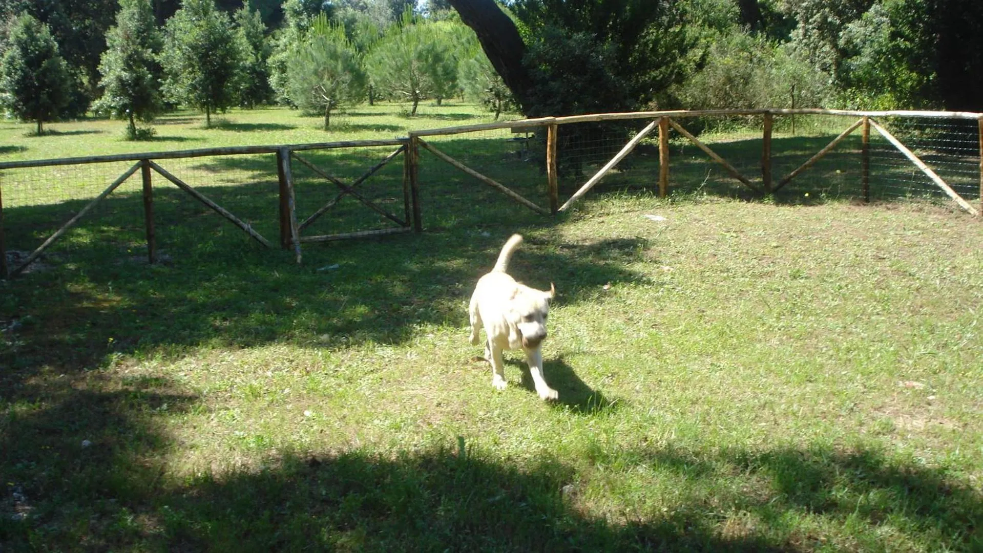 Pets in Residence Pineta