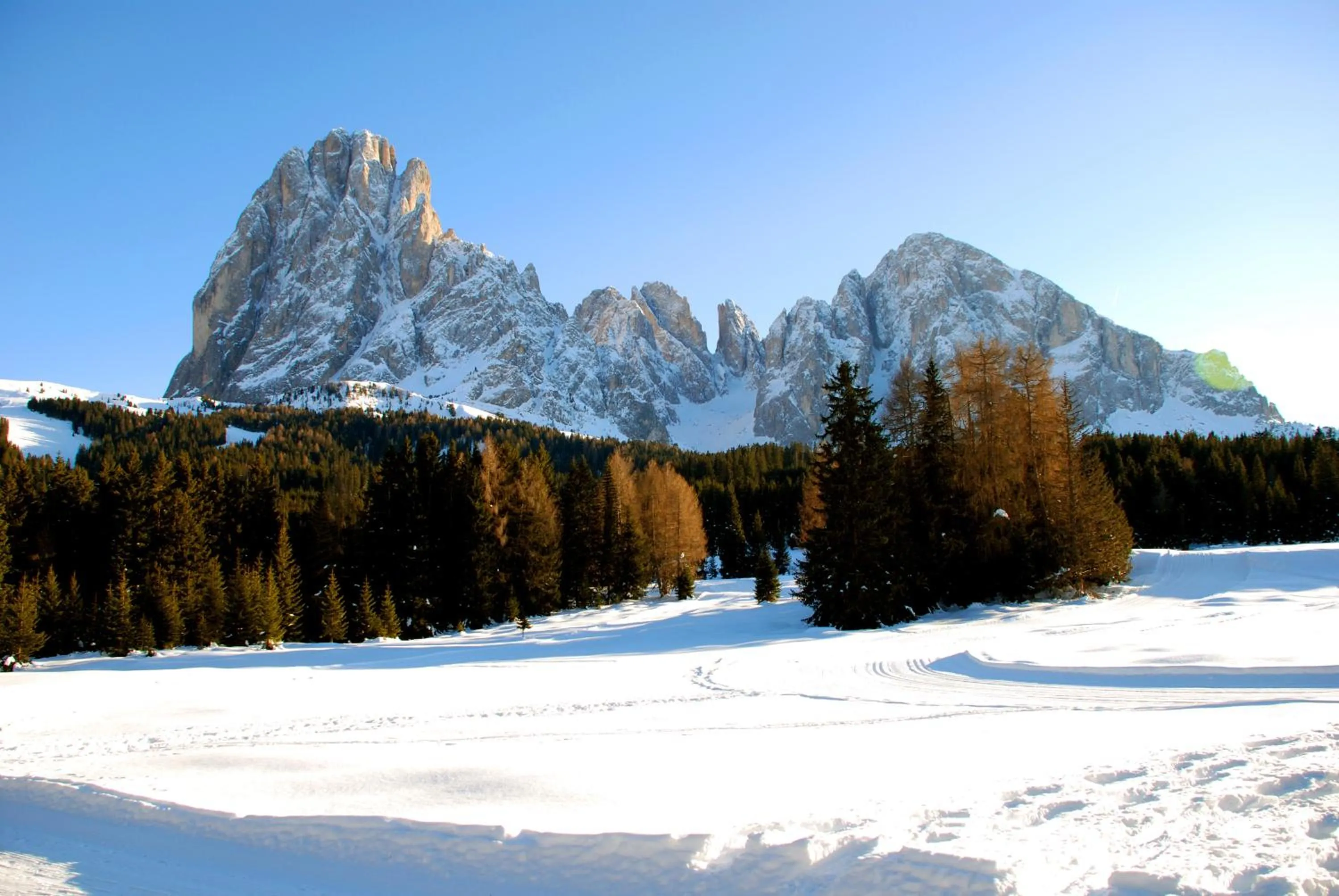 Area and facilities in Garni Hotel Geier