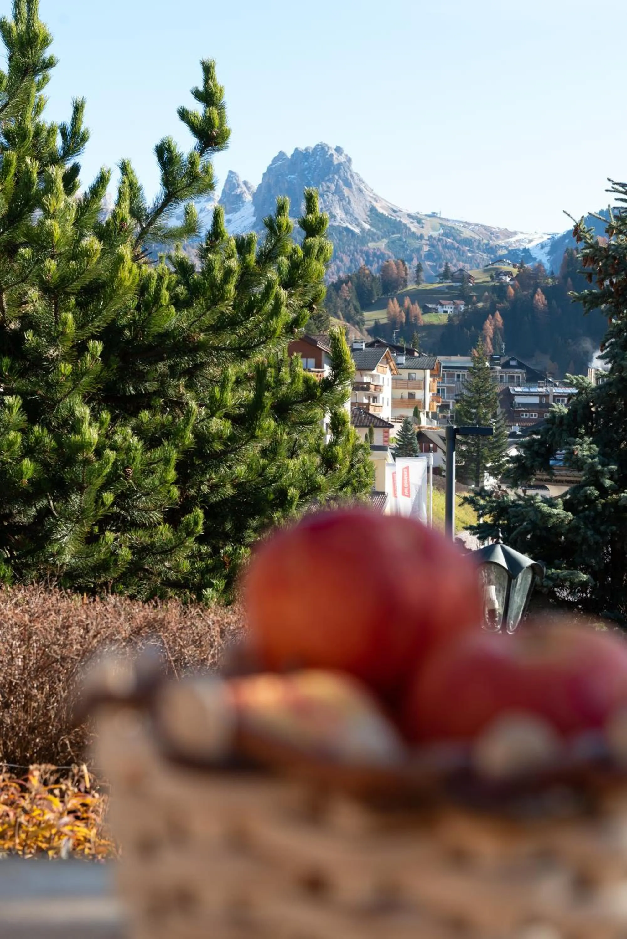 Garden view in Garni Hotel Geier