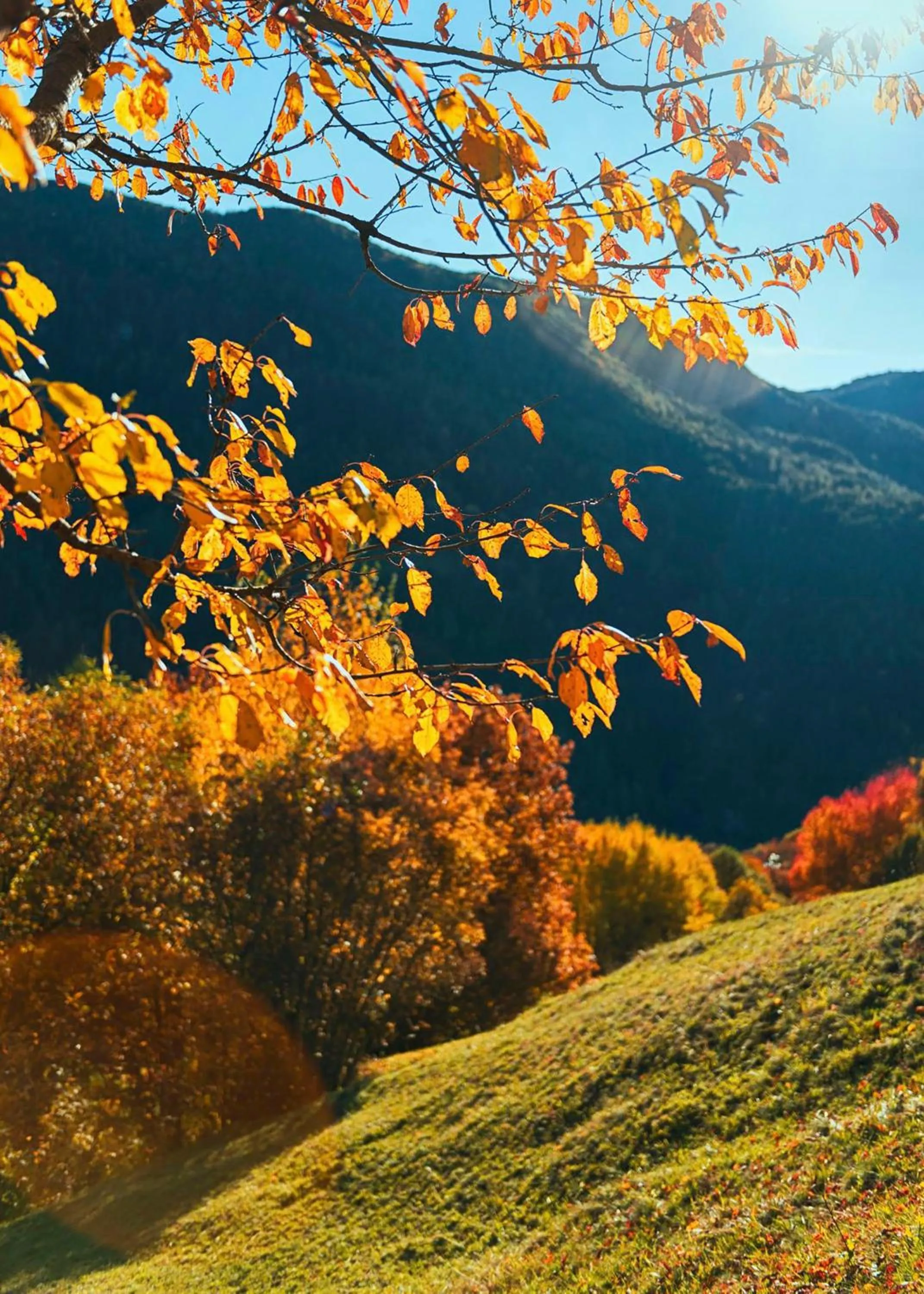 On site in Garni Hotel Geier