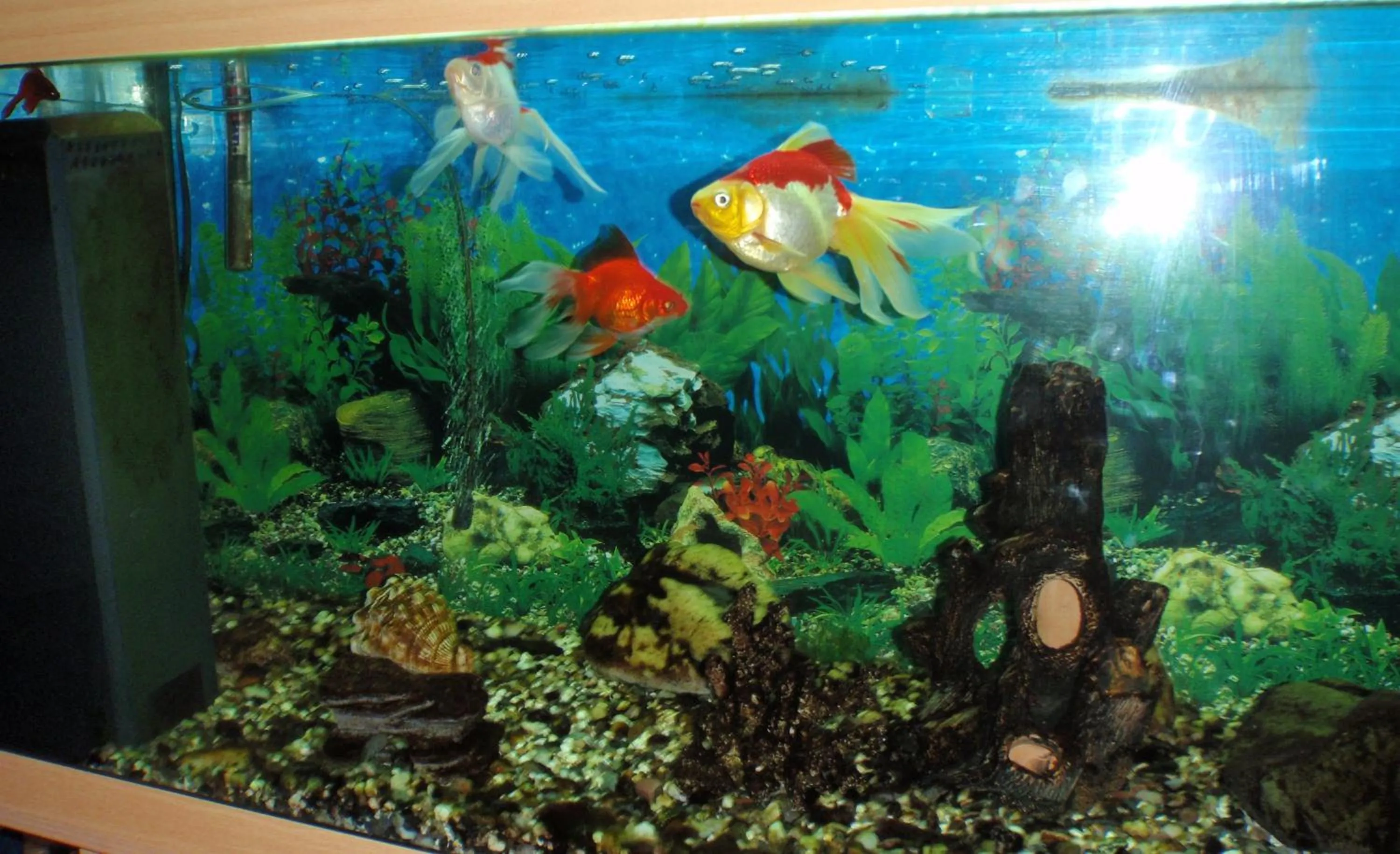 Lobby or reception in Hotel Fit Fun