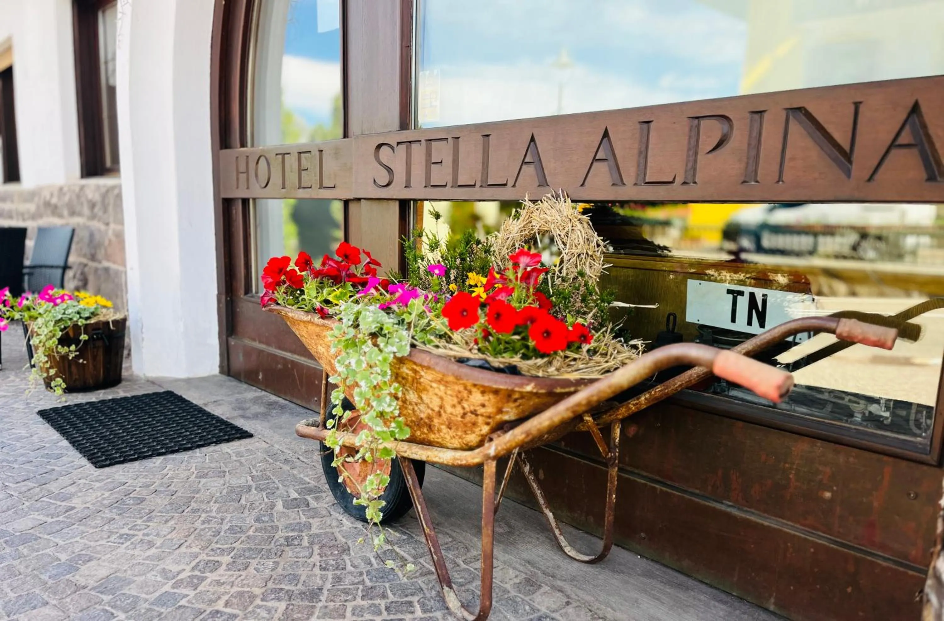 Summer in Hotel Stella Alpina