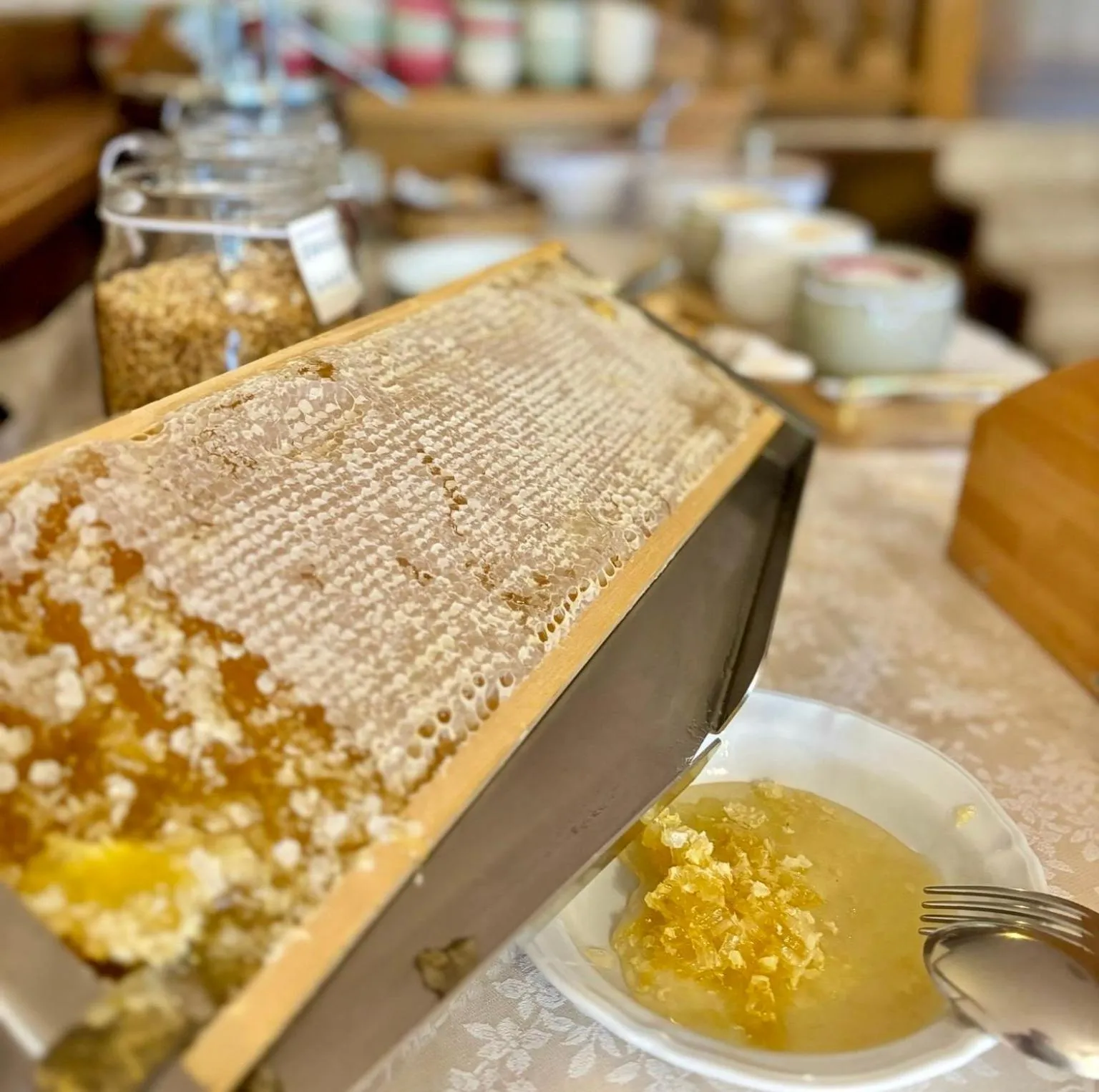 Continental breakfast in Hotel Stella Alpina