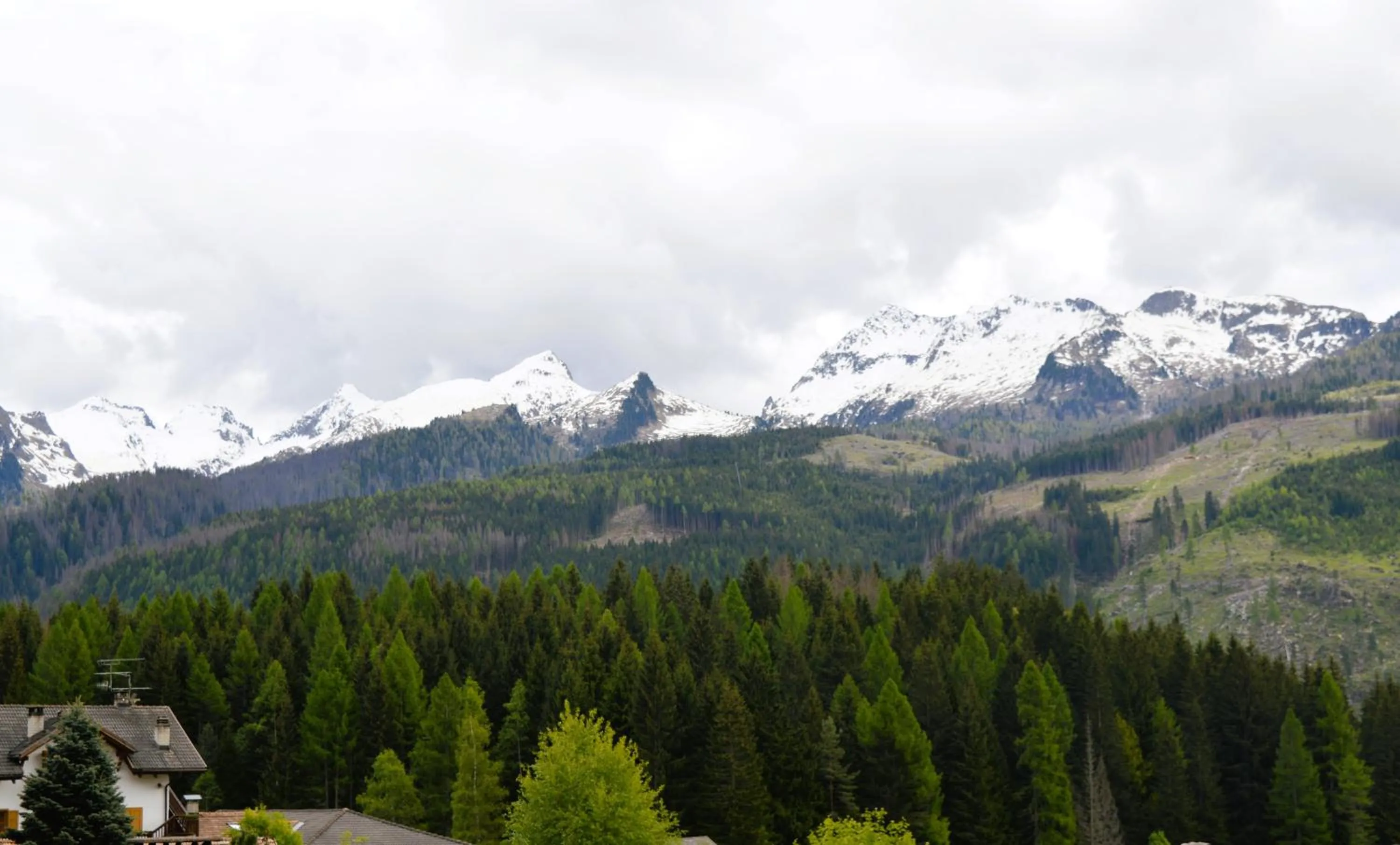 Bird's eye view in Hotel Stella Alpina