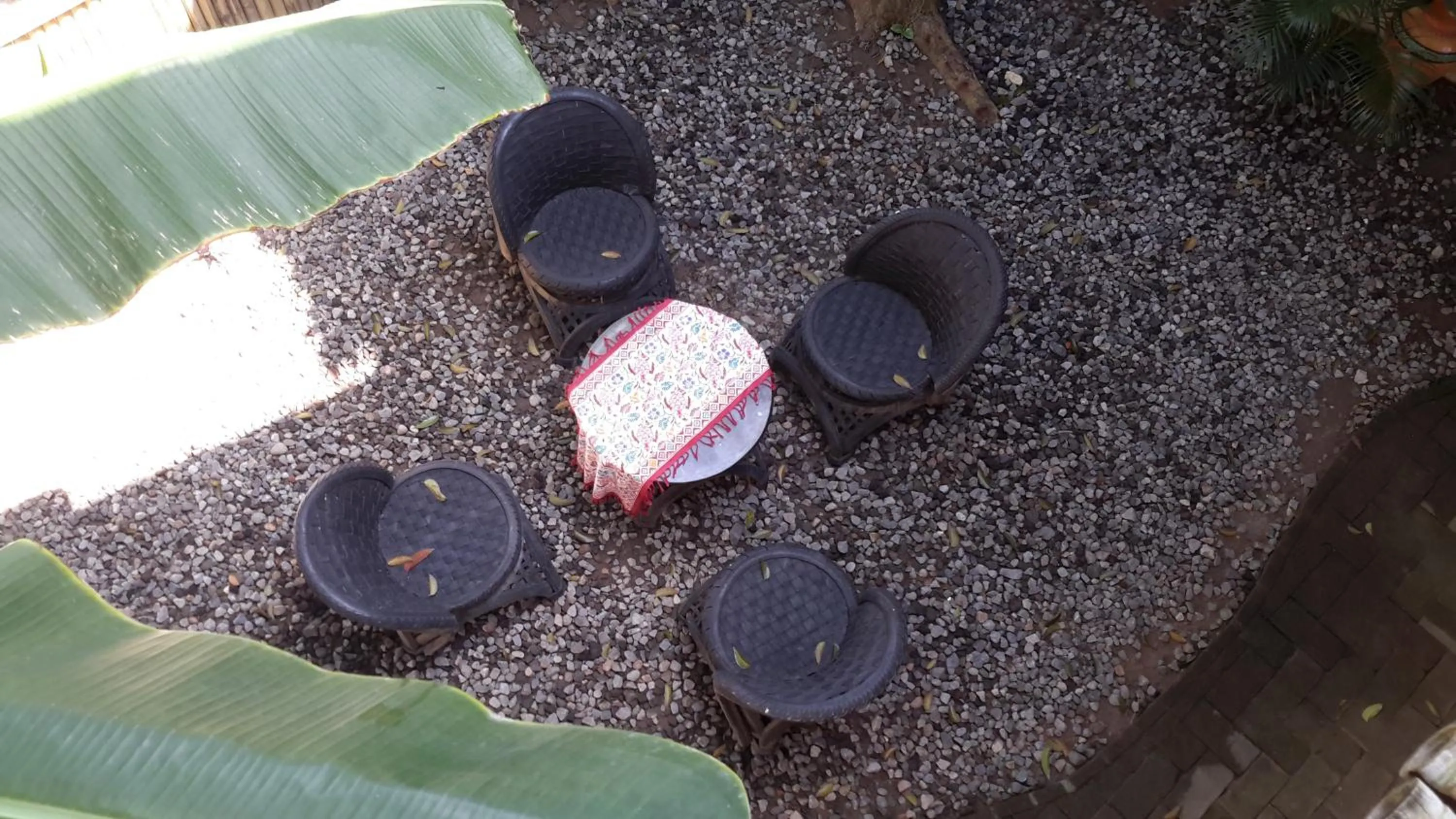 Property building in Omah Kebon Nitiprayan