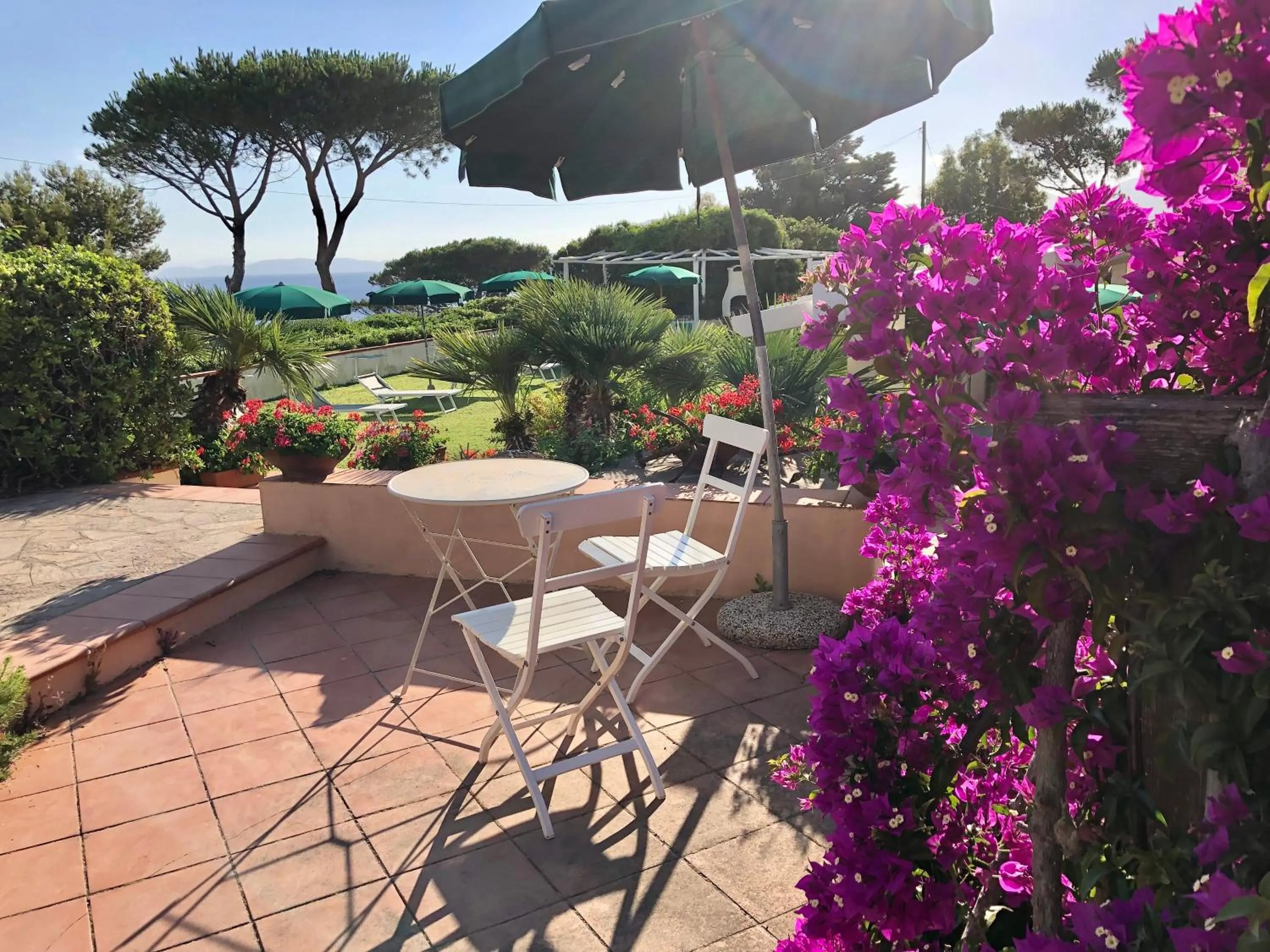 Garden view in Belvedere Residenza Mediterranea