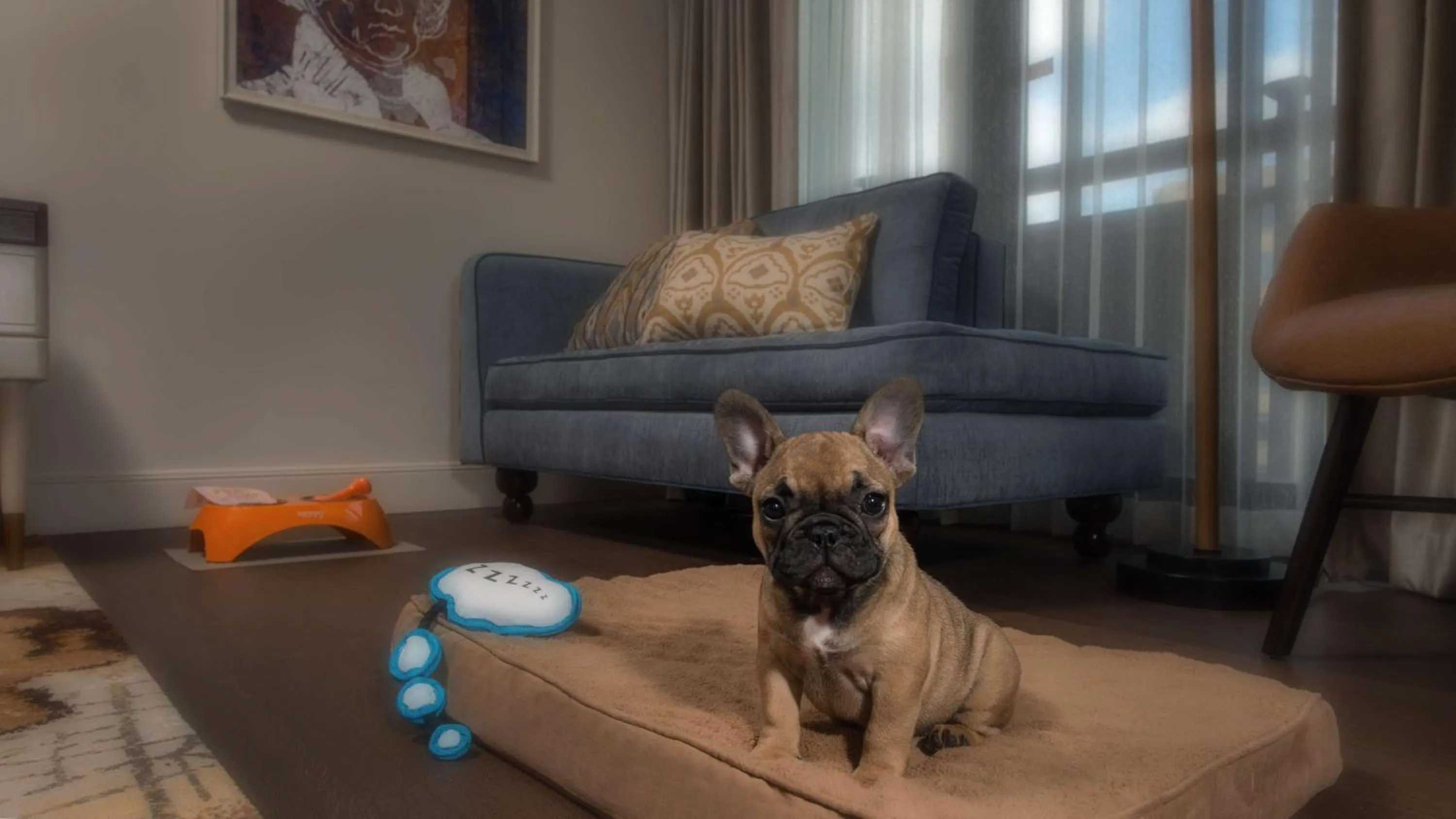 Photo of the whole room in Canopy by Hilton Washington DC Embassy Row