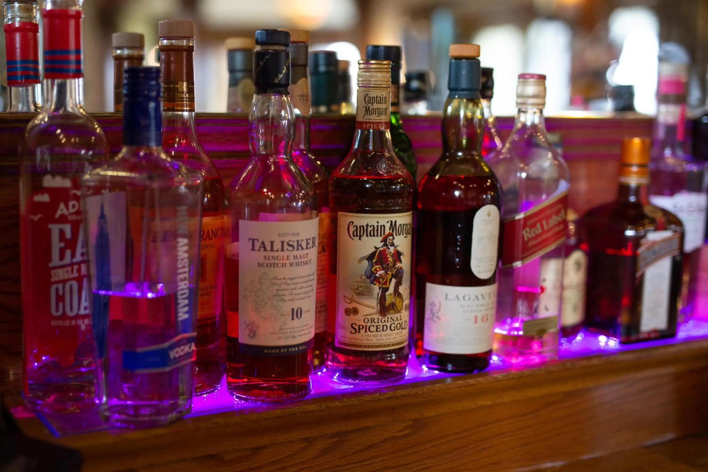 Lounge or bar in Sea Marge Hotel