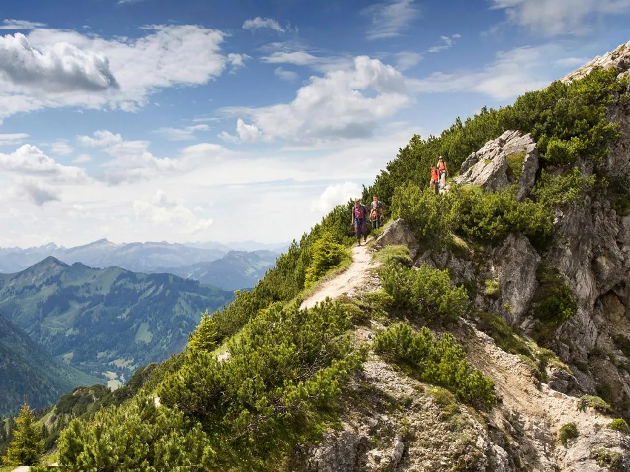 Natural landscape in Panoramahotel Oberjoch