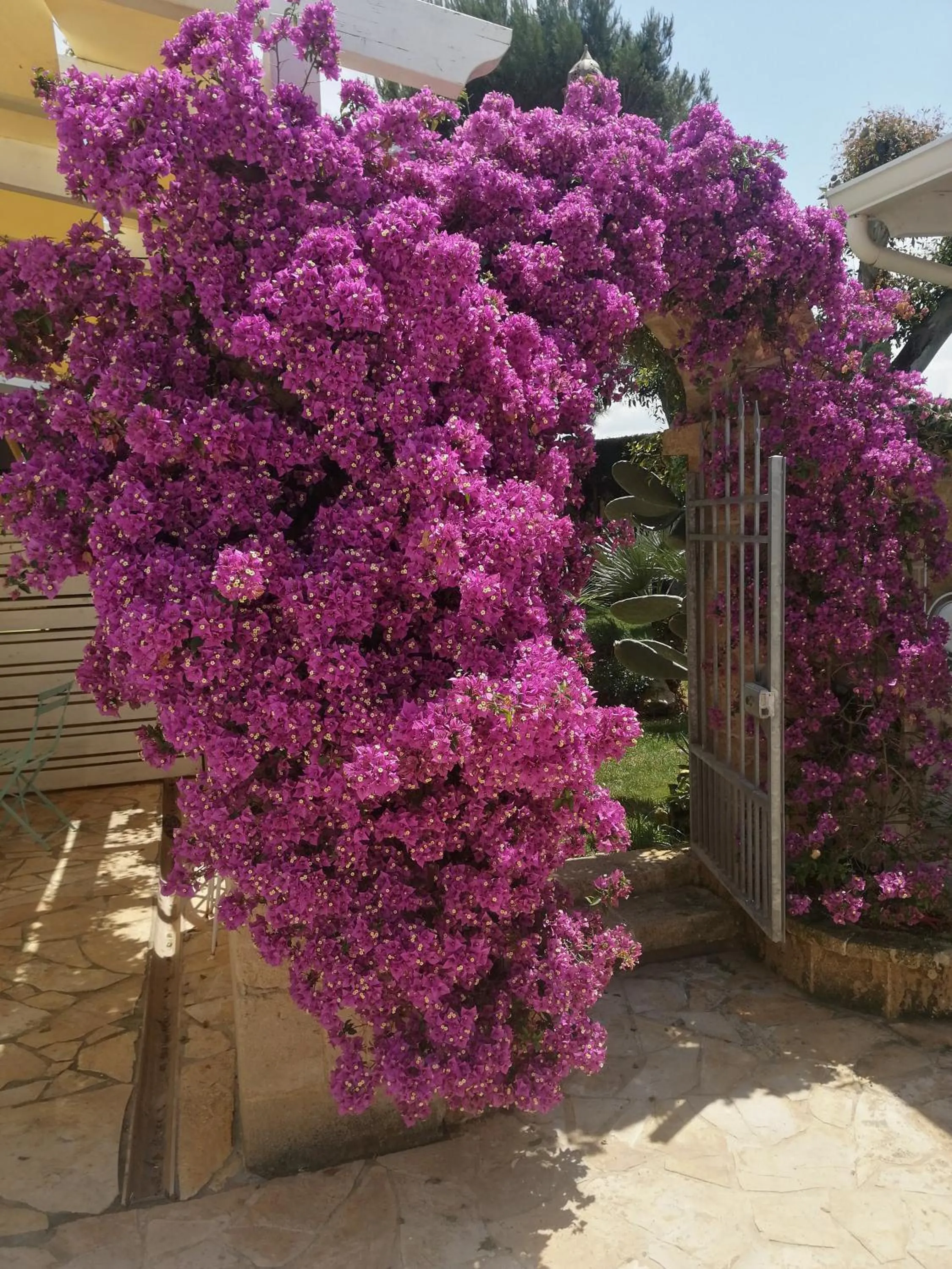 Garden in Beach House Salento