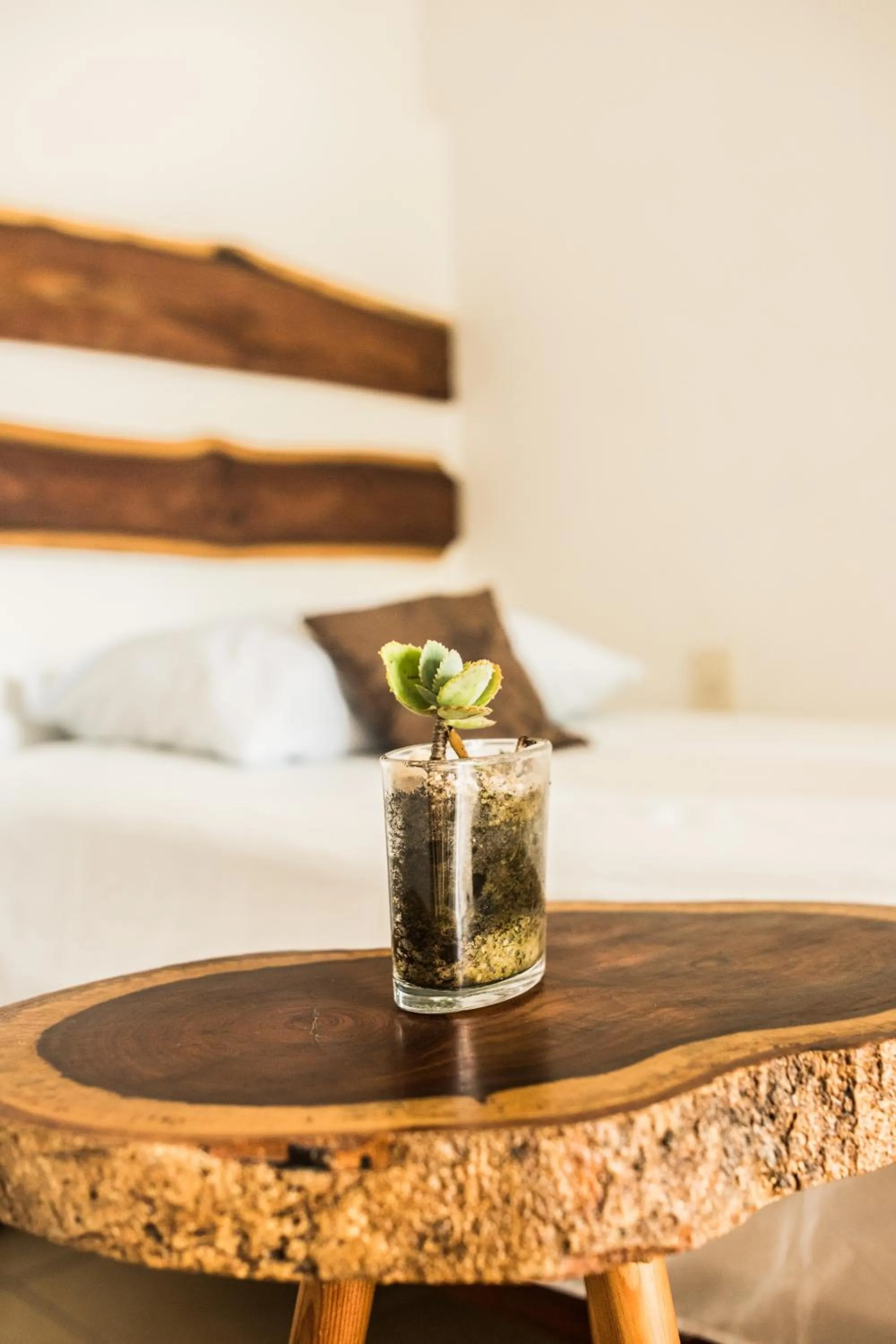 Bed in Hotel el Manglar