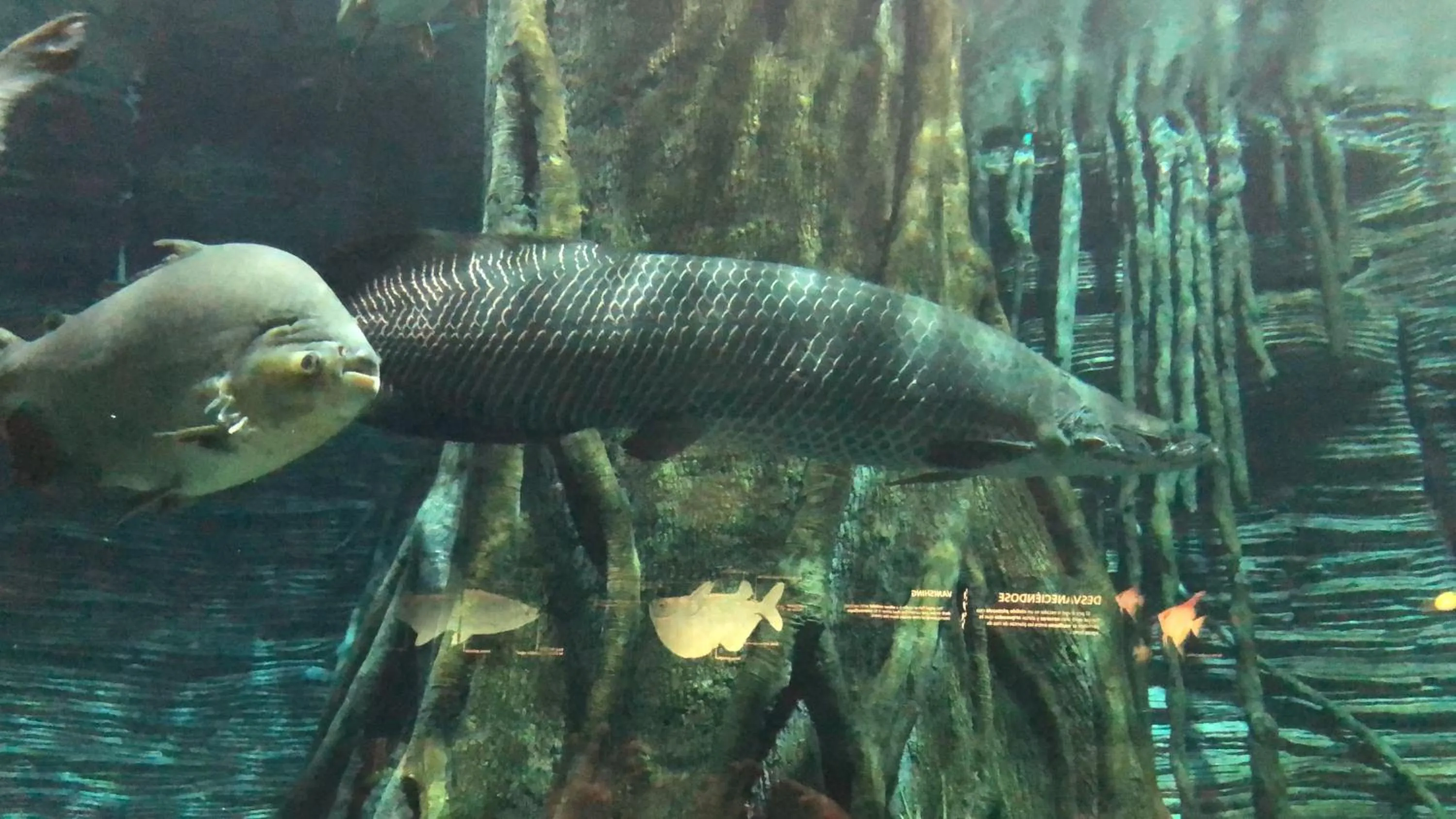 Casa Hotel Manco Mora