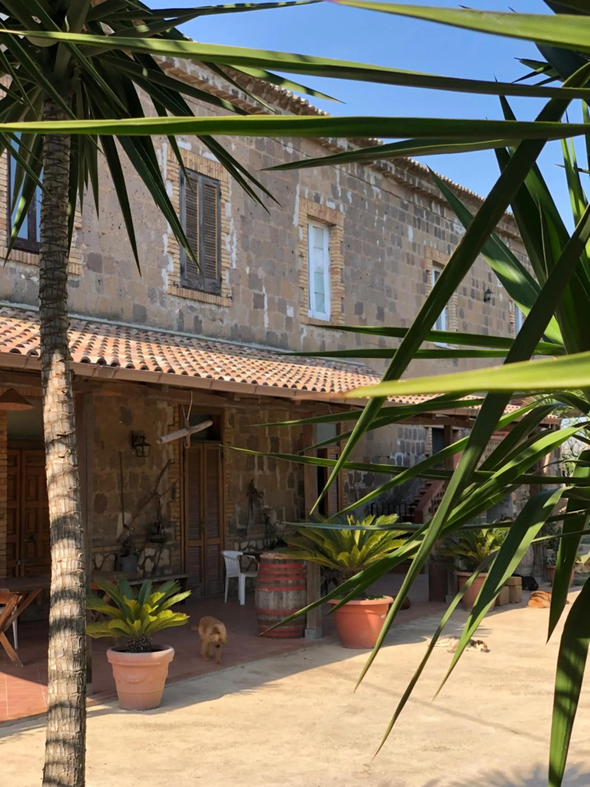 Facade/entrance in Decri resort