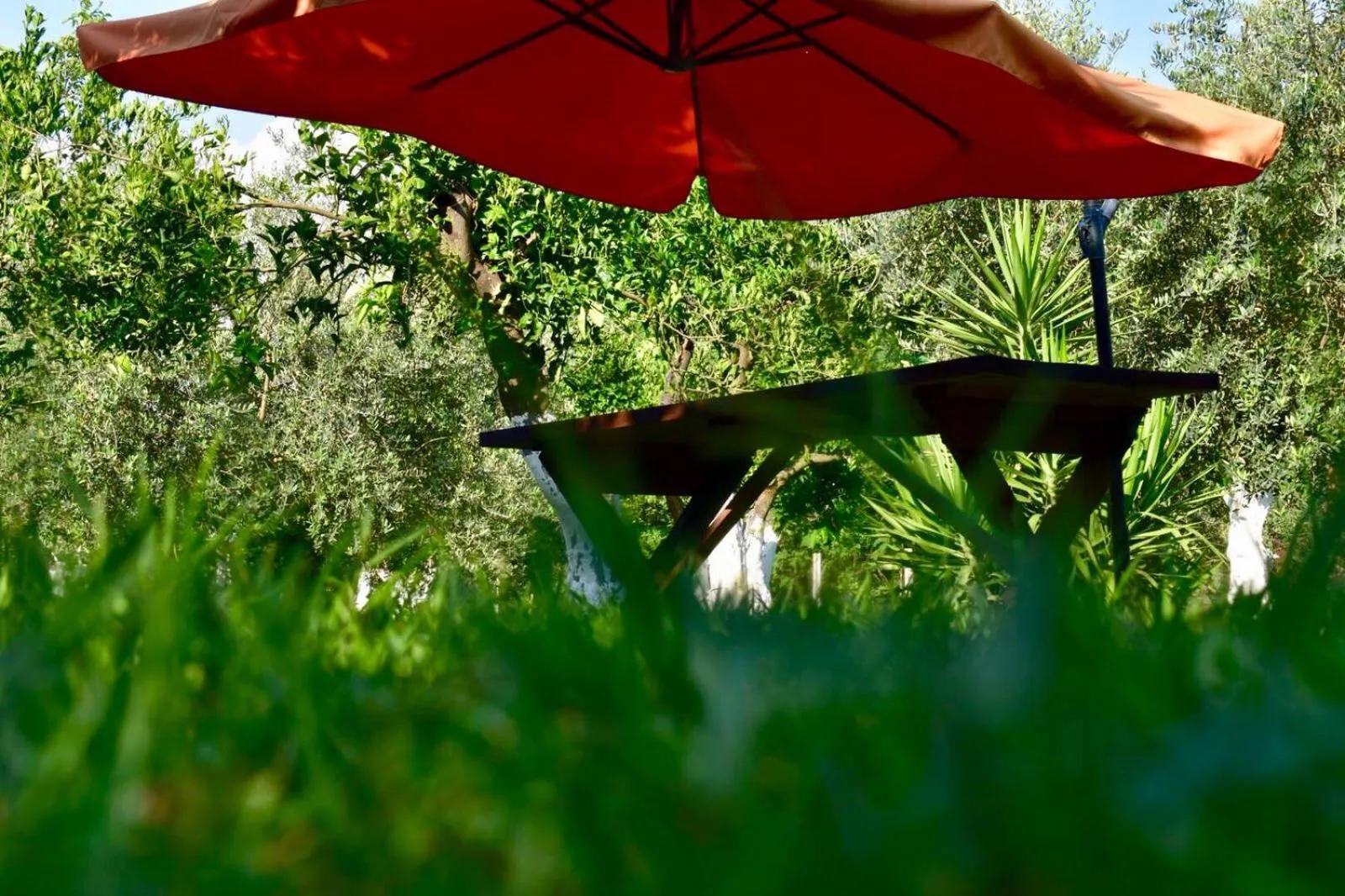 Garden in Decri resort