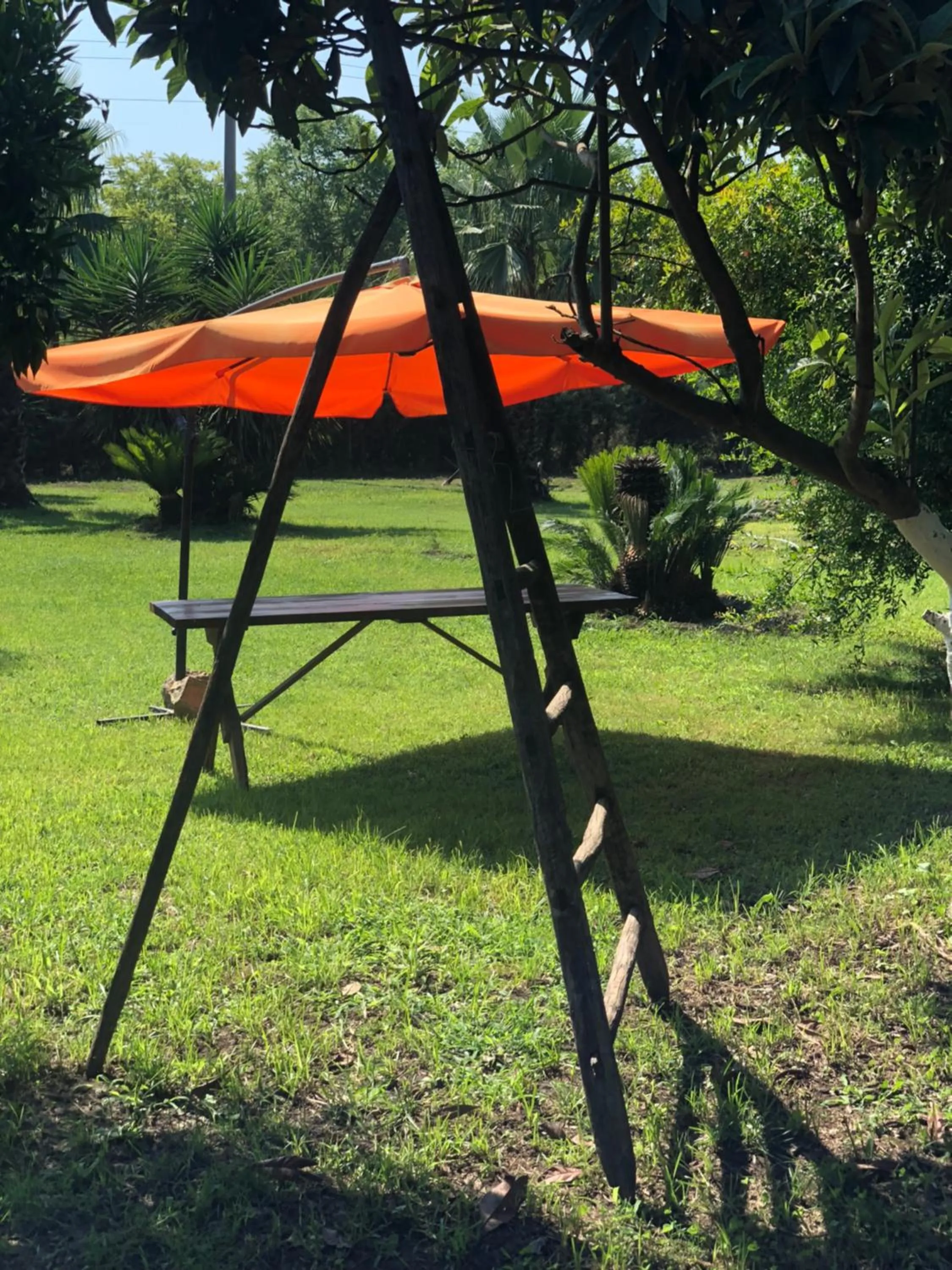 Garden in Decri resort