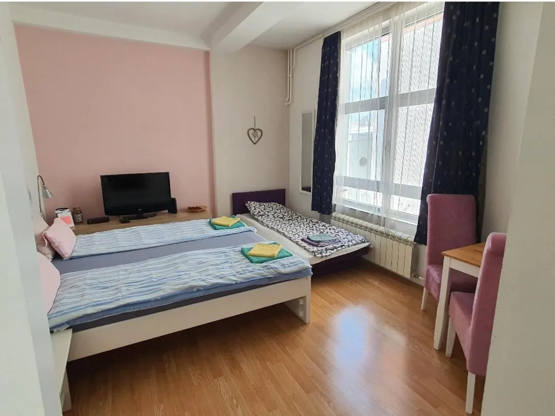 Studio Apartman LD u Strogom Centru