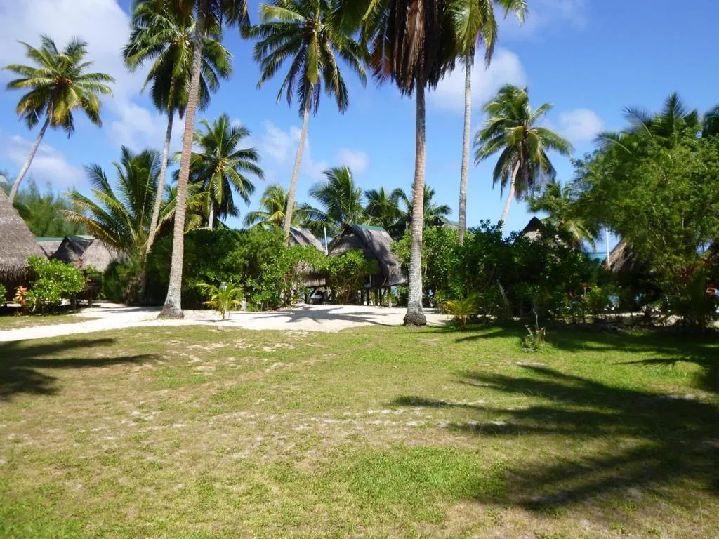 Garden in Paradise Cove Lodge